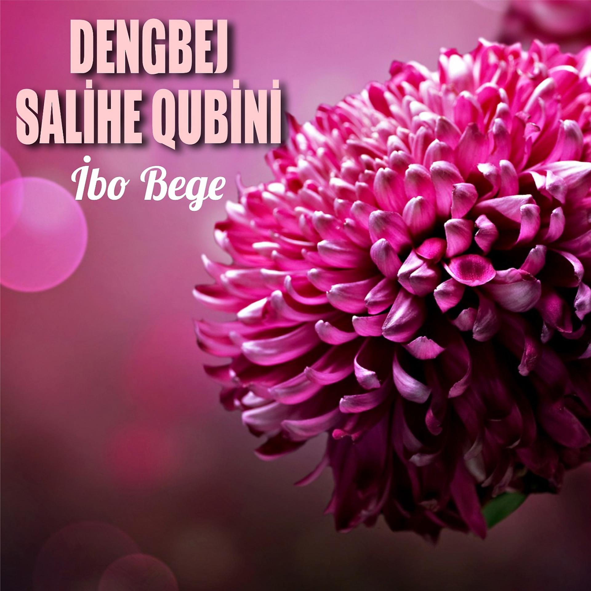 Постер альбома İbo Bege