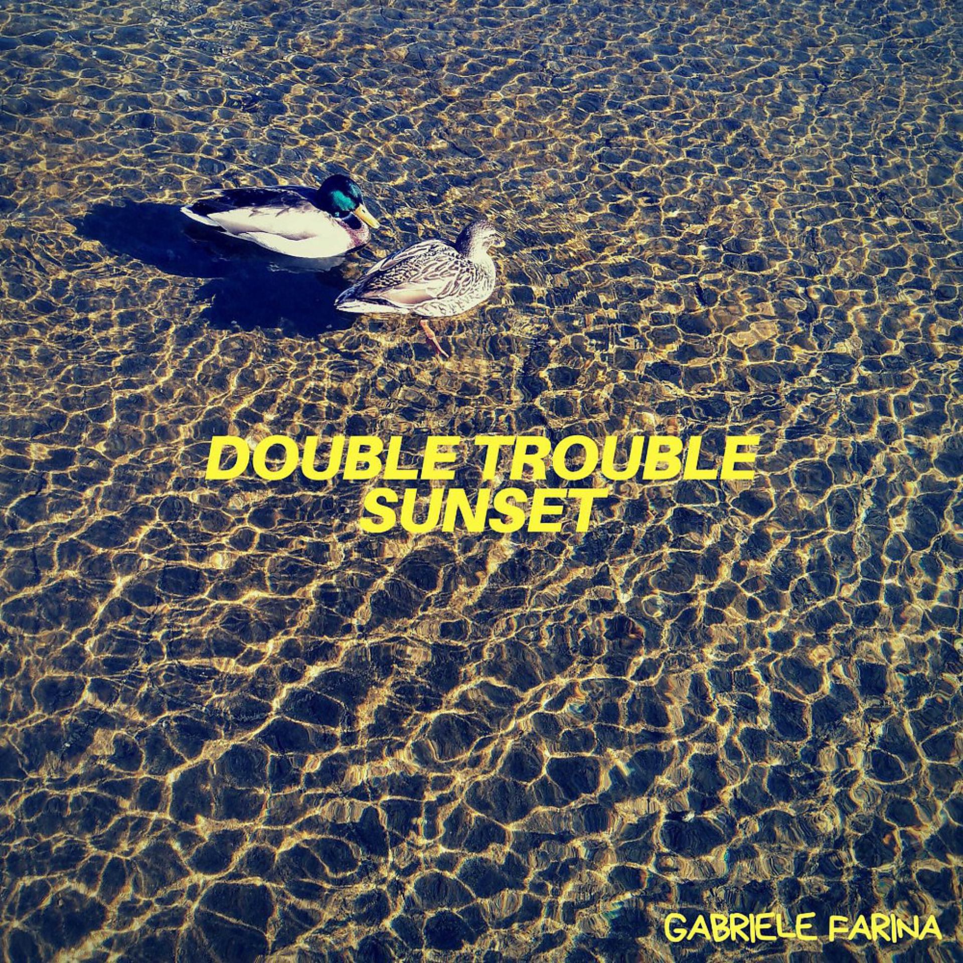 Постер альбома Double Trouble Sunset