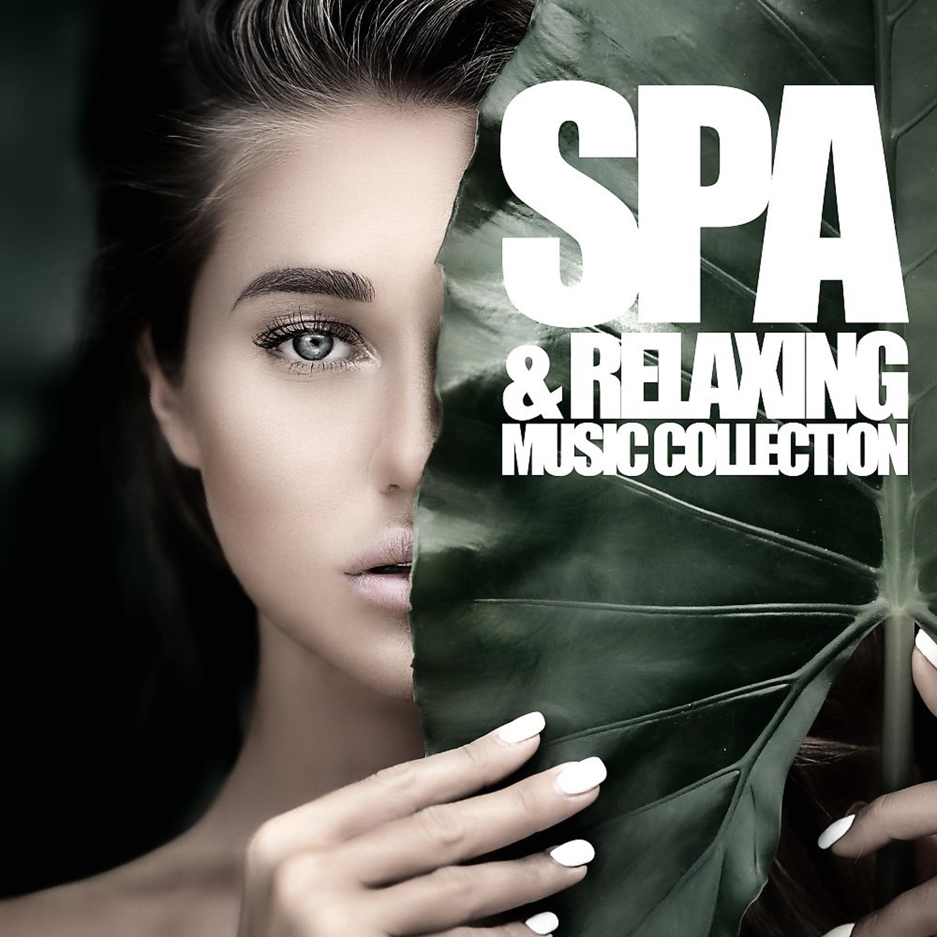 Постер альбома Spa & Relaxing Music Collection