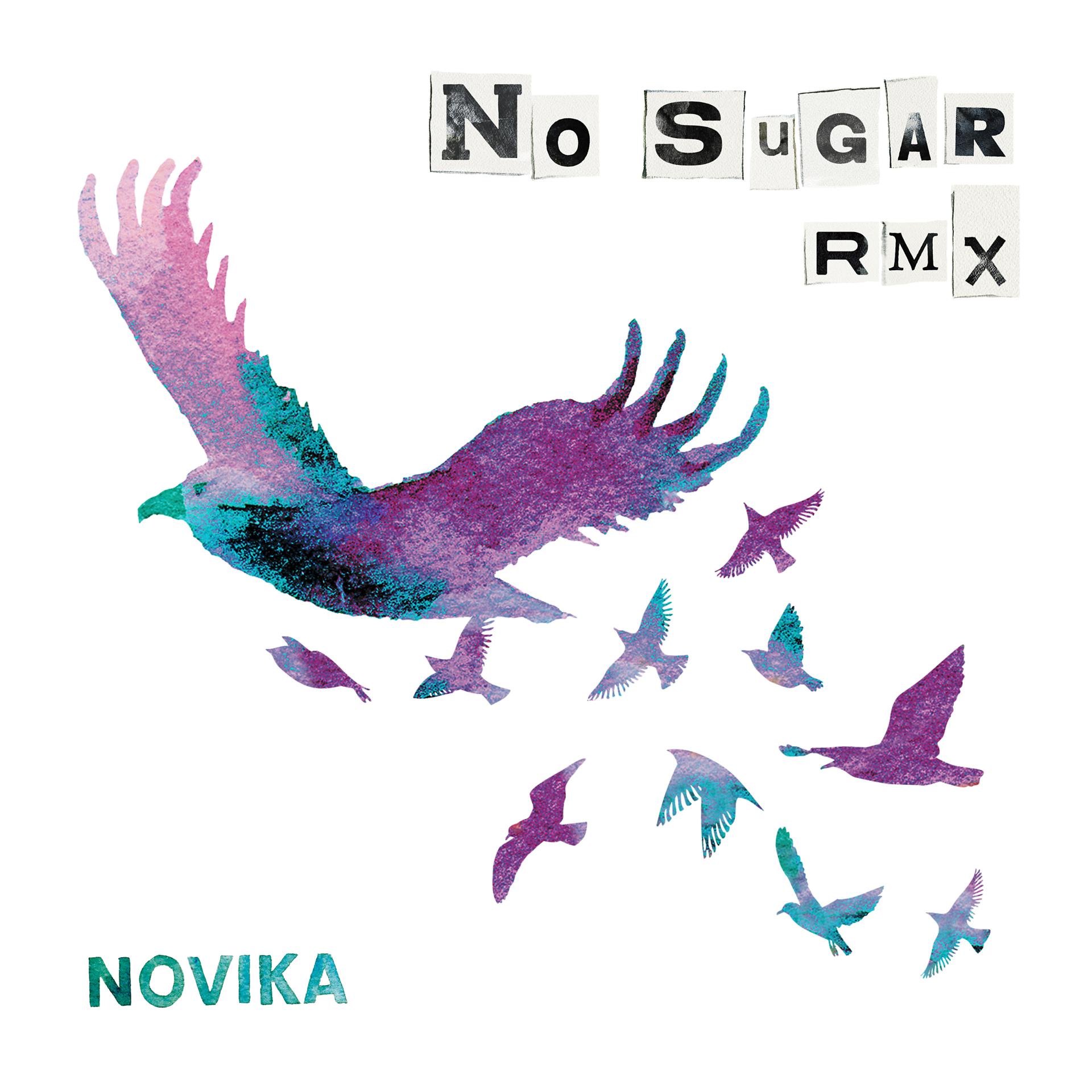 Постер альбома No Sugar RMX