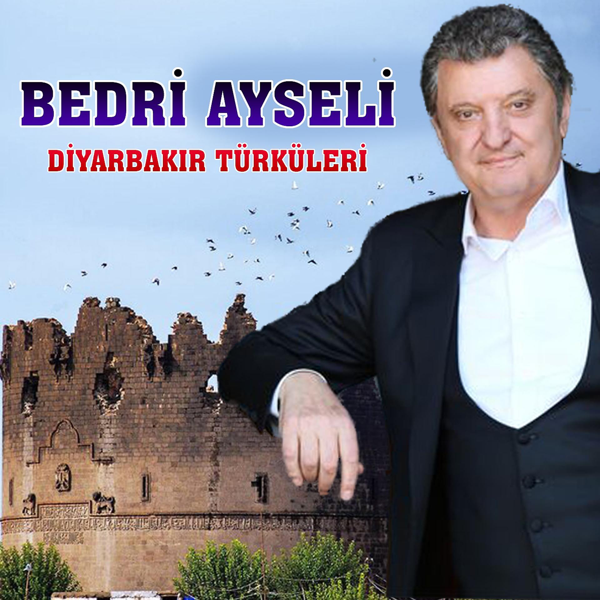 Постер альбома Diyarbakır Türküleri