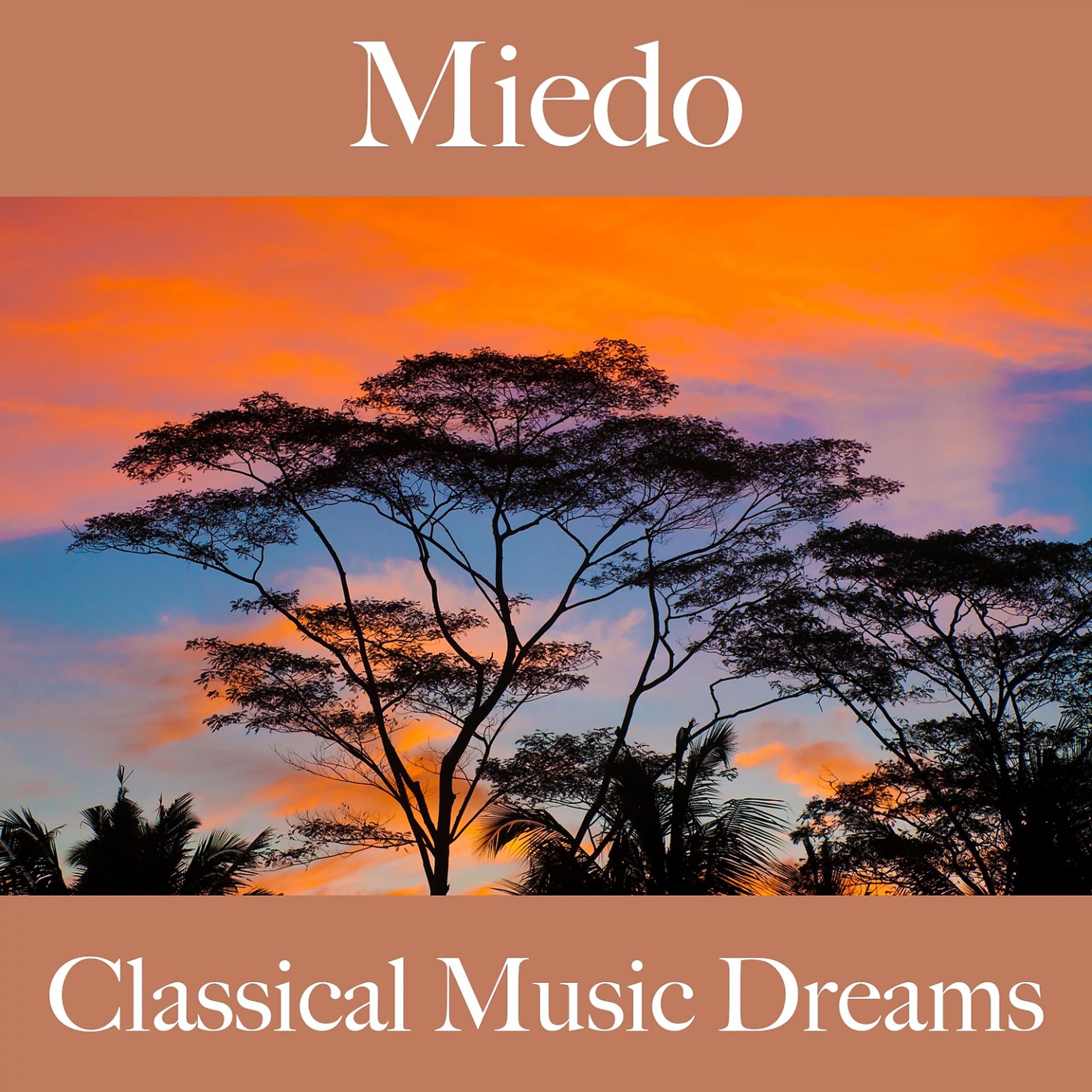 Постер альбома Miedo: Classical Music Dreams - La Mejor Música Para Sentirse Mejor