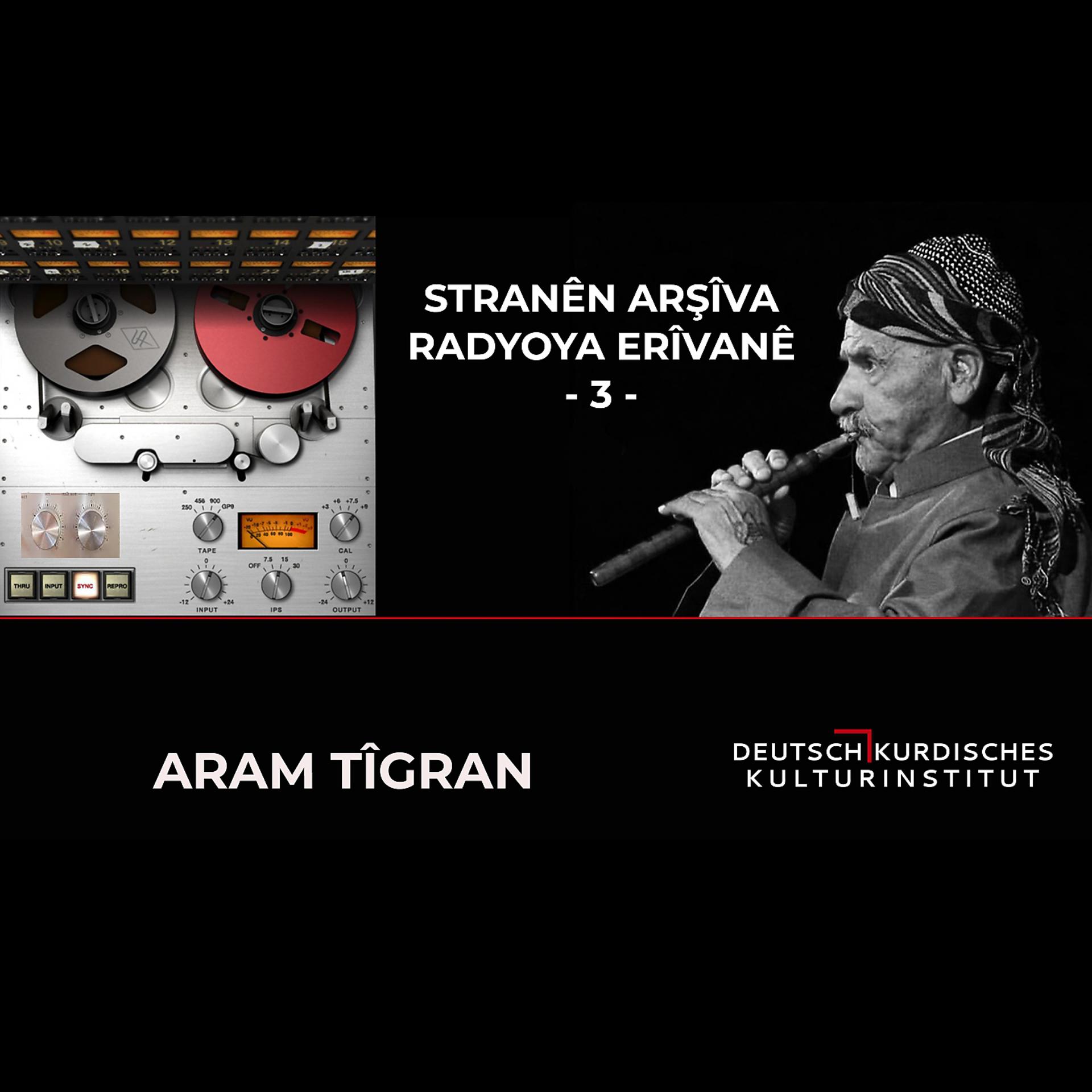 Постер альбома Stranên Arşîva Radyoya Erîvanê-3