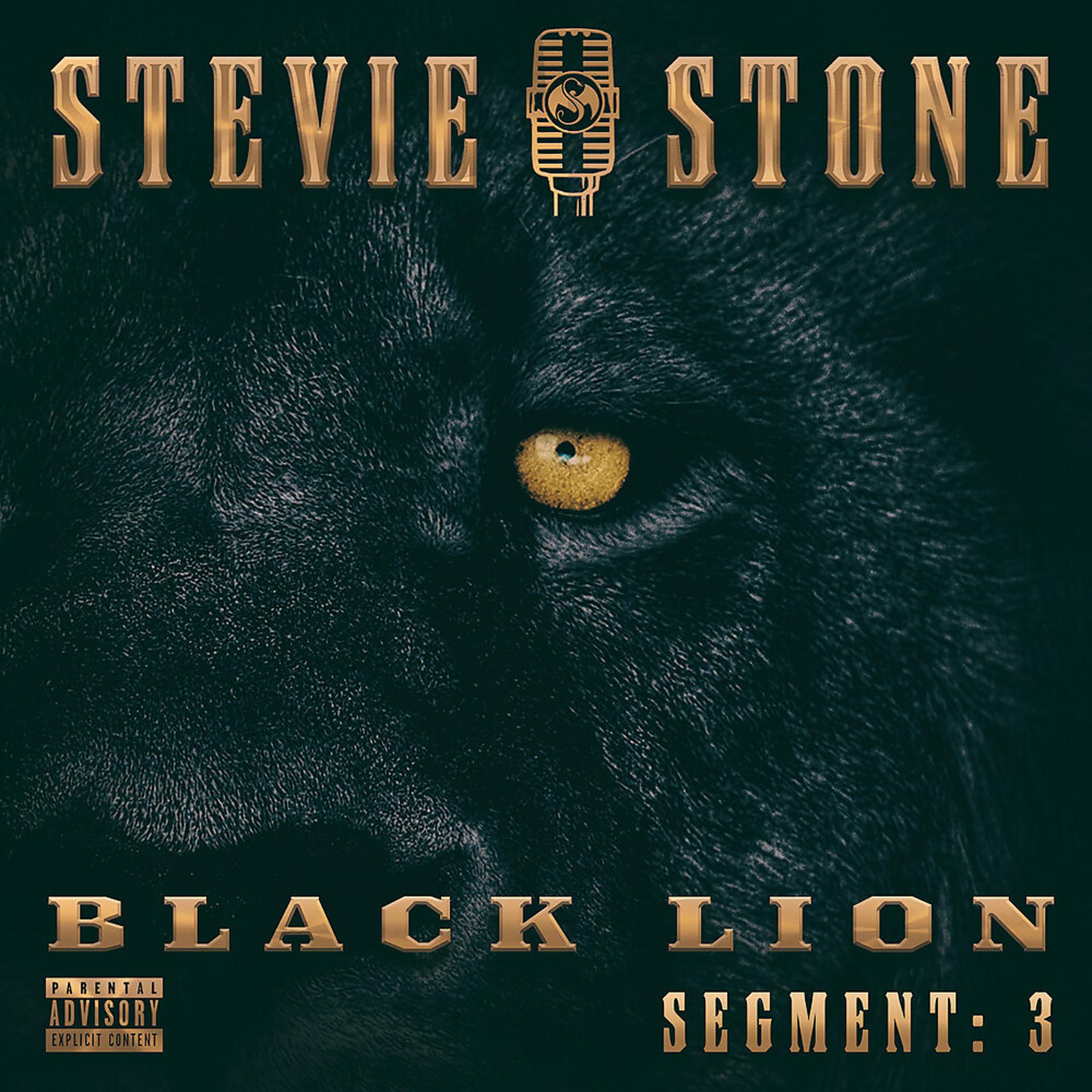 Постер альбома Black Lion Segment: 3