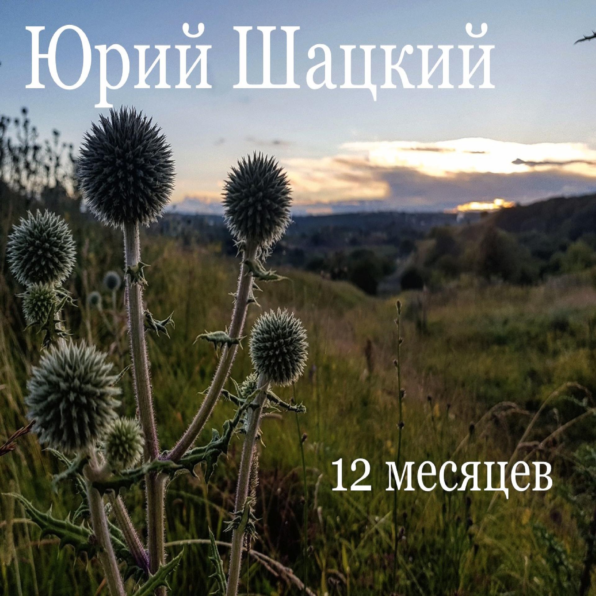 Постер альбома Юрий Шацкий: 12 месяцев