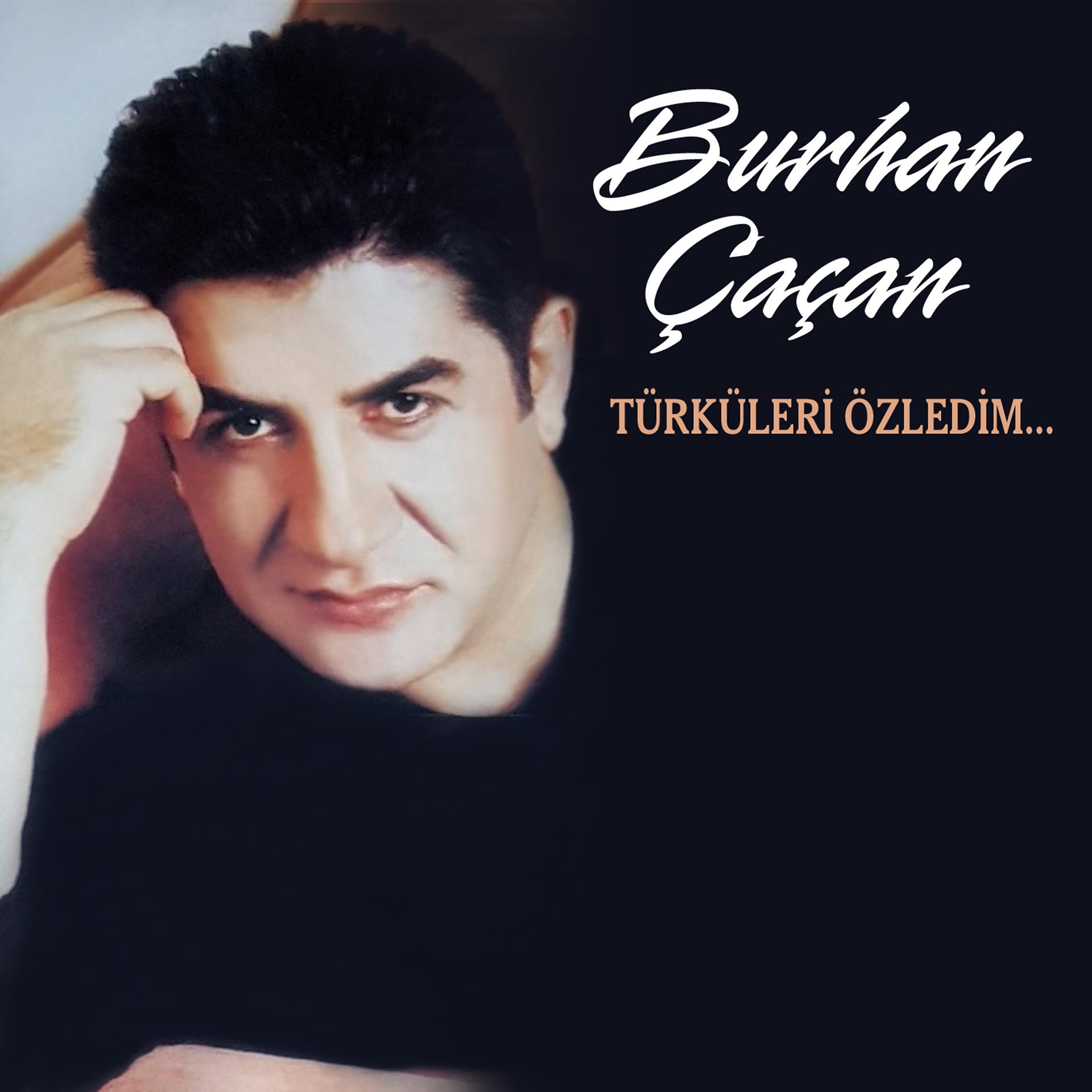 Постер альбома Türküleri Özledim