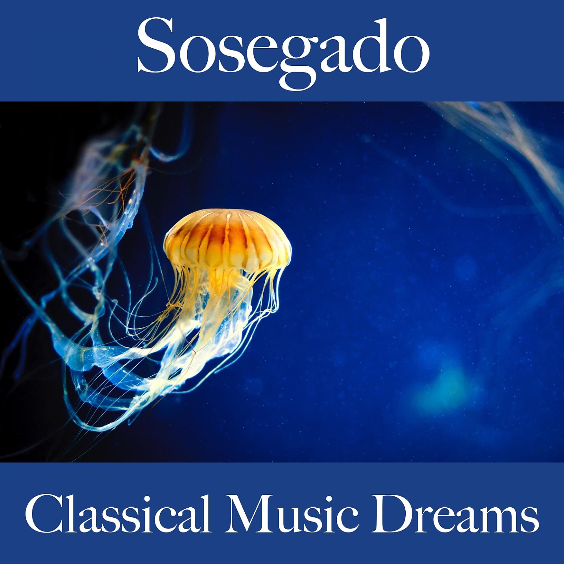 Постер альбома Sosegado: Classical Music Dreams - Los Mejores Sonidos Para Relajarse