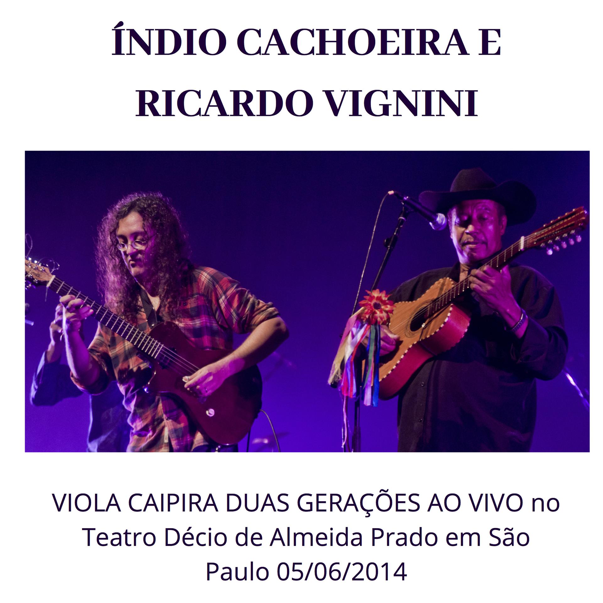 Постер альбома Viola Caipira Duas Gerações Ao Vivo do Teatro Décio de Almeida Prado, São Paulo Dia 05/06/2014