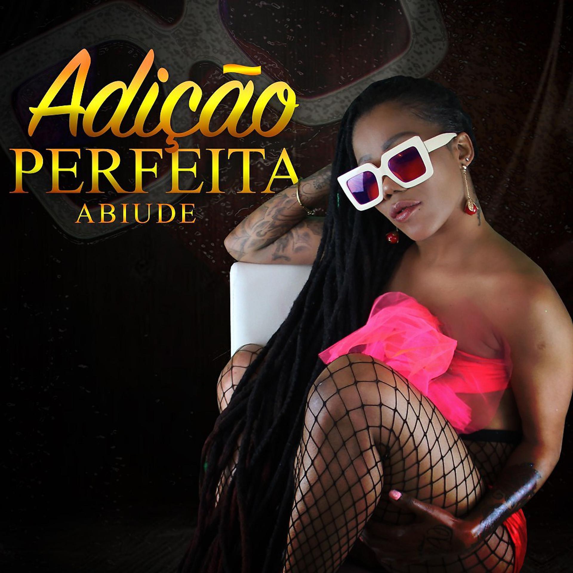 Постер альбома Adição Perfeita