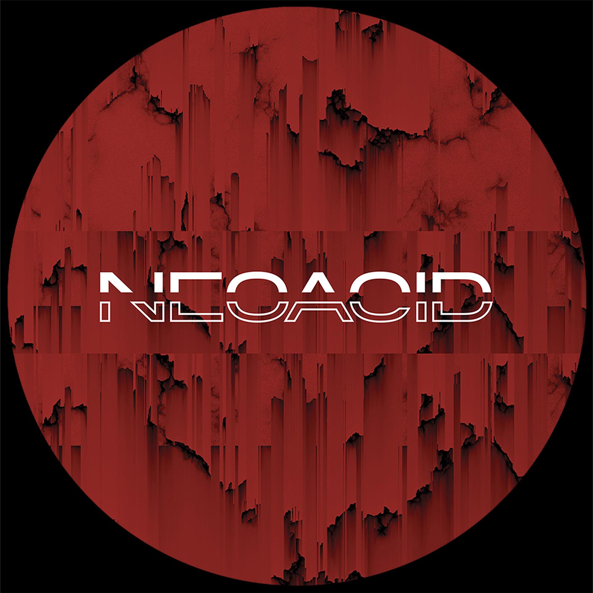 Постер альбома Neoacid 04