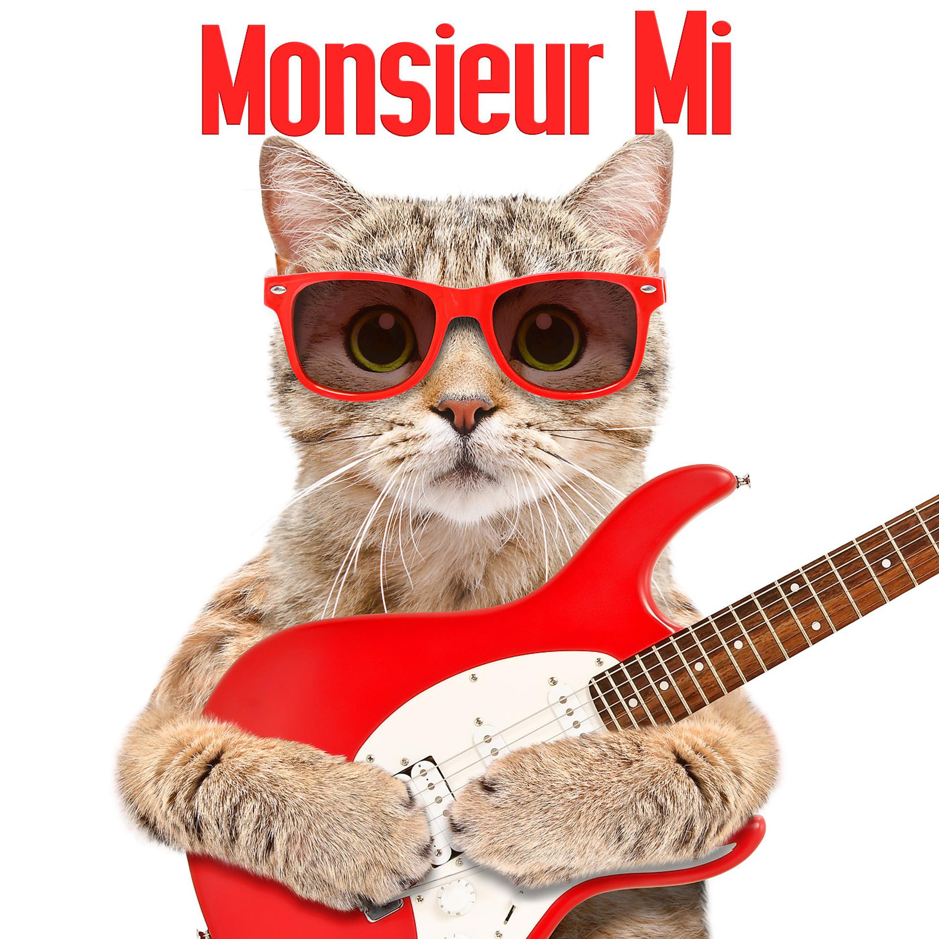Постер альбома Monsieur Mi