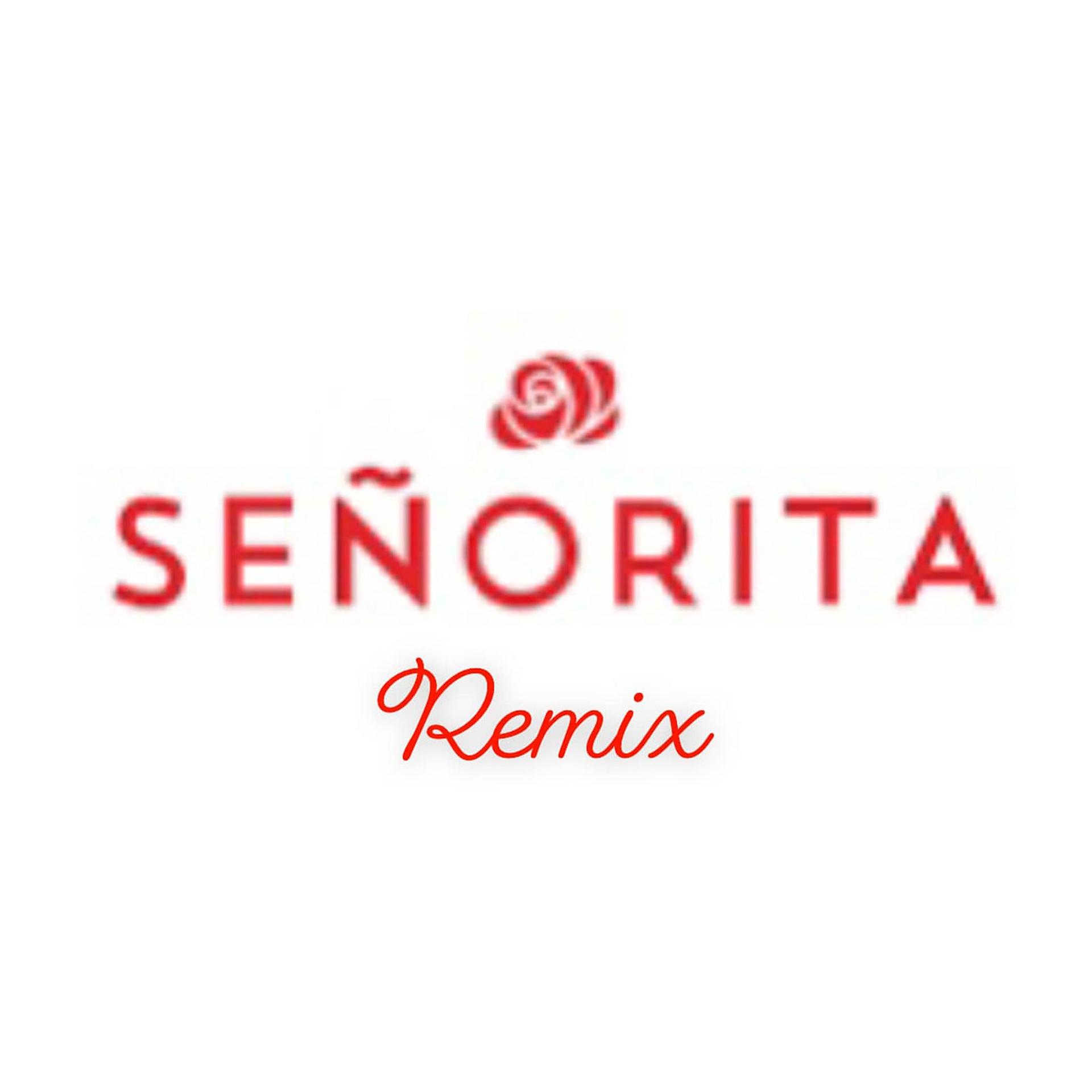 Постер альбома Señorita (Remix)