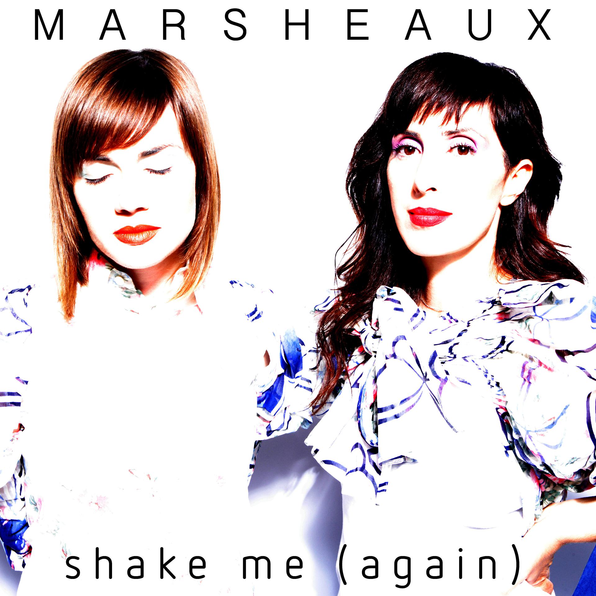 Постер альбома Shake Me (again)