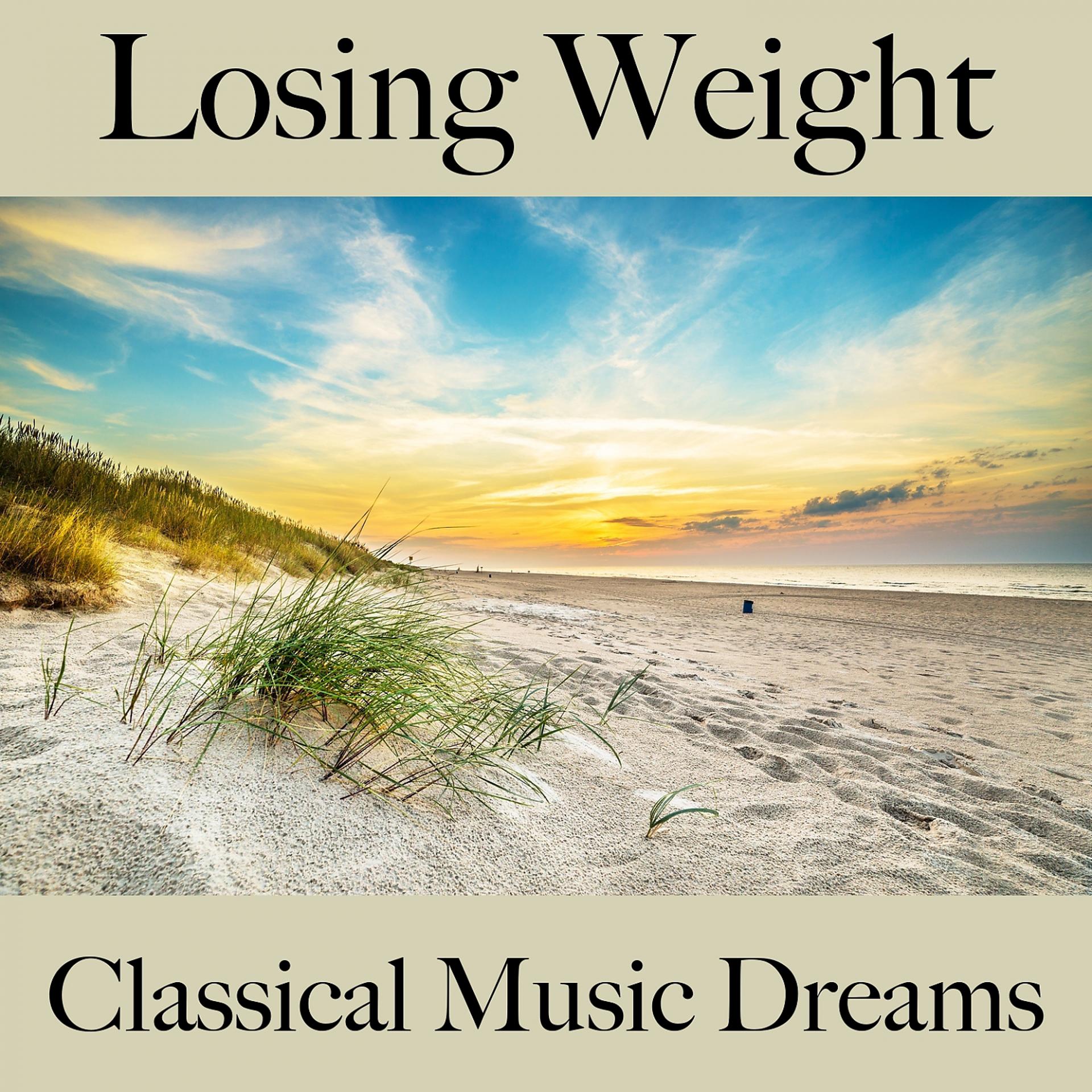 Постер альбома Losing Weight: Classical Music Dreams - The Best Music For Relaxation