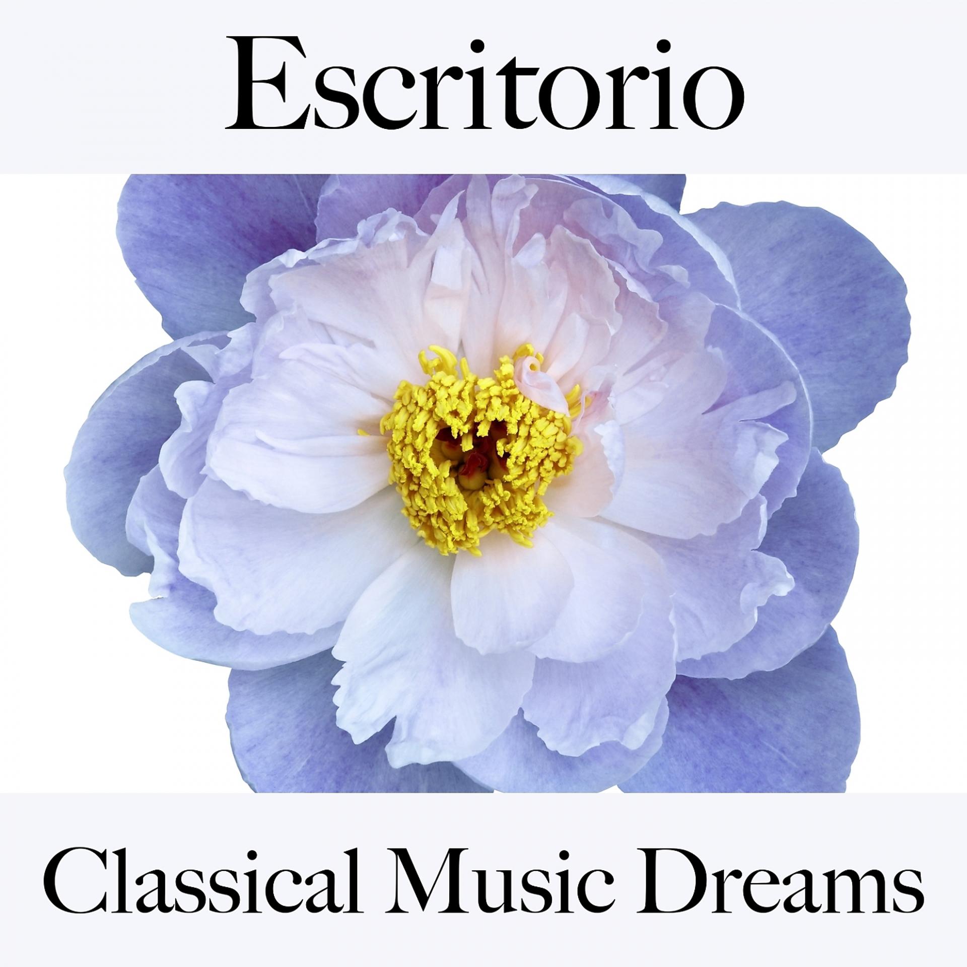 Постер альбома Escritorio: Classical Music Dreams - La Mejor Música Para Descansarse