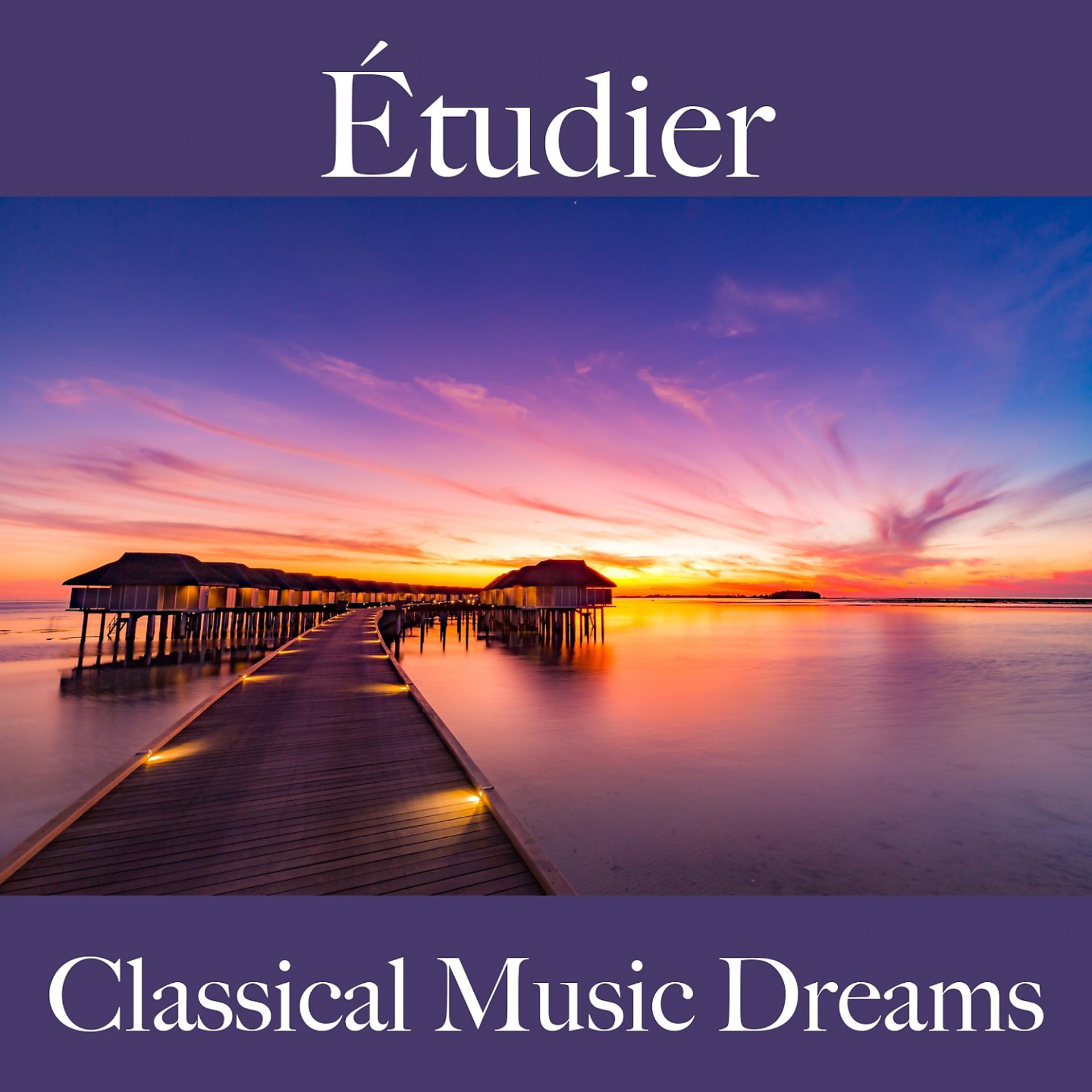 Постер альбома Étudier: Classical Music Dreams - La Meilleure Musique Pour Se Détendre