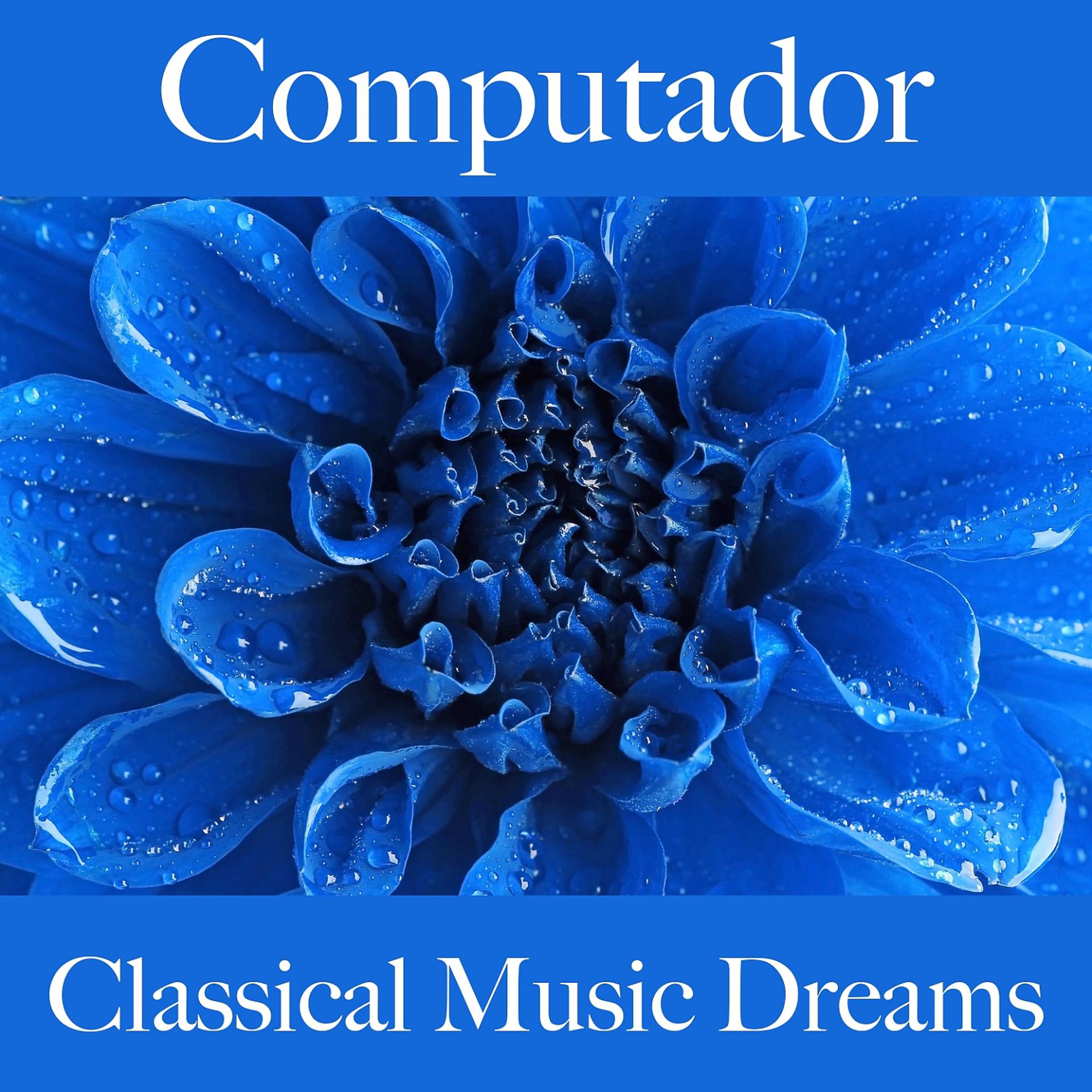 Постер альбома Computador: Classical Music Dreams - A Melhor Música Para Relaxar