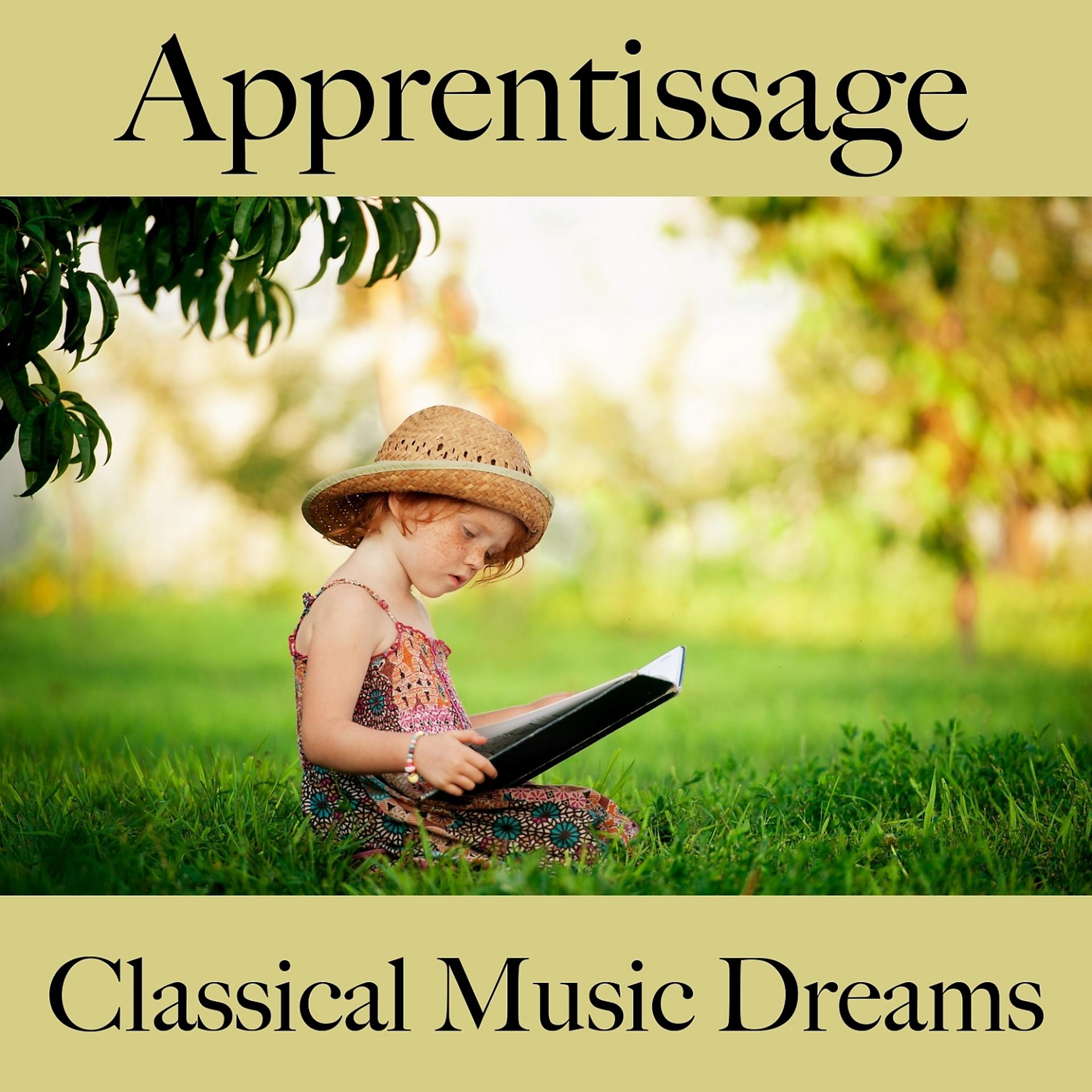 Постер альбома Apprentissage: Classical Music Dreams - La Meilleure Musique Pour Se Détendre