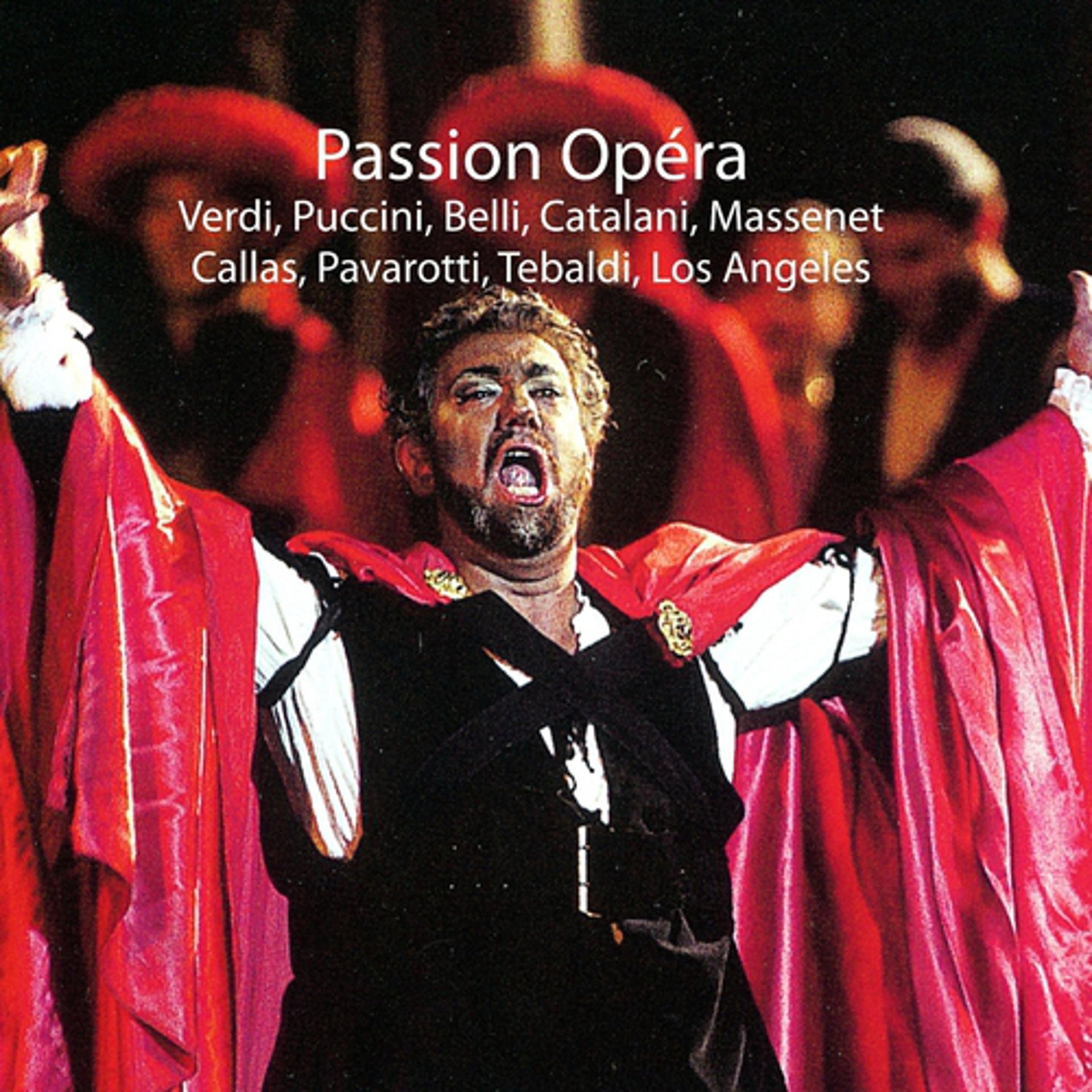 Постер альбома Passion de l'Opéra