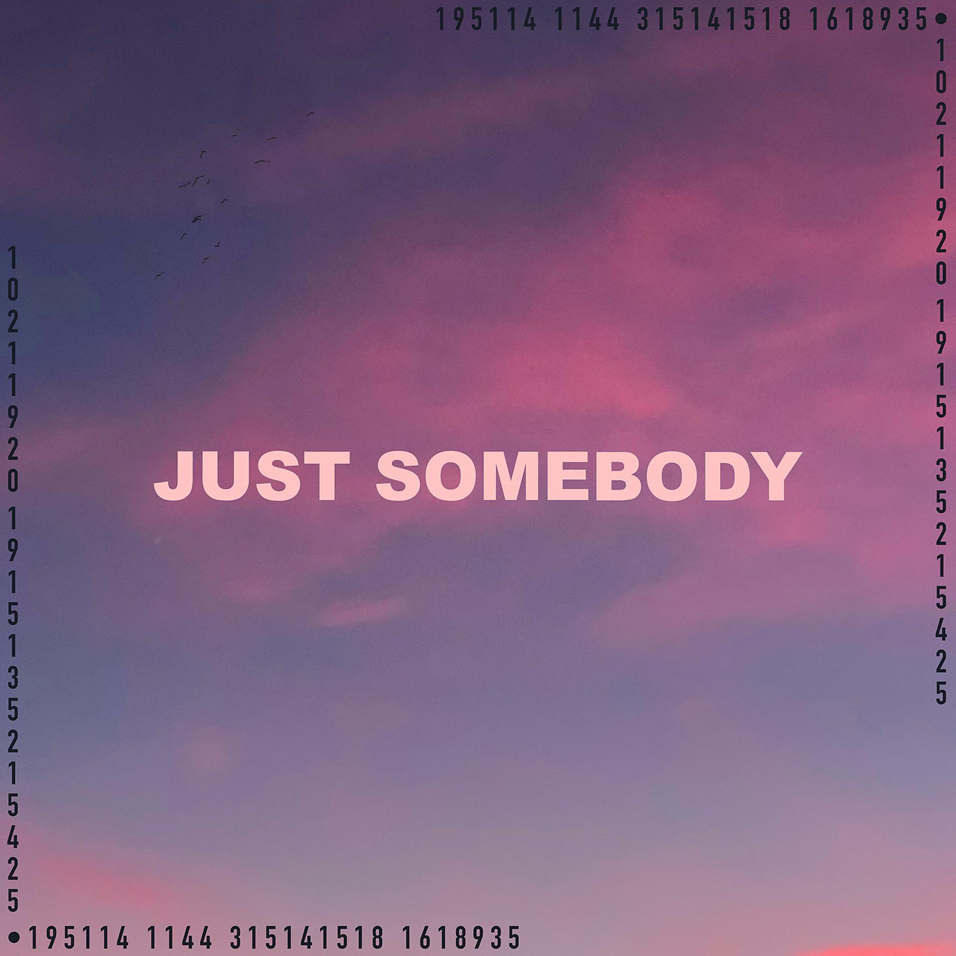 Постер альбома Just Somebody