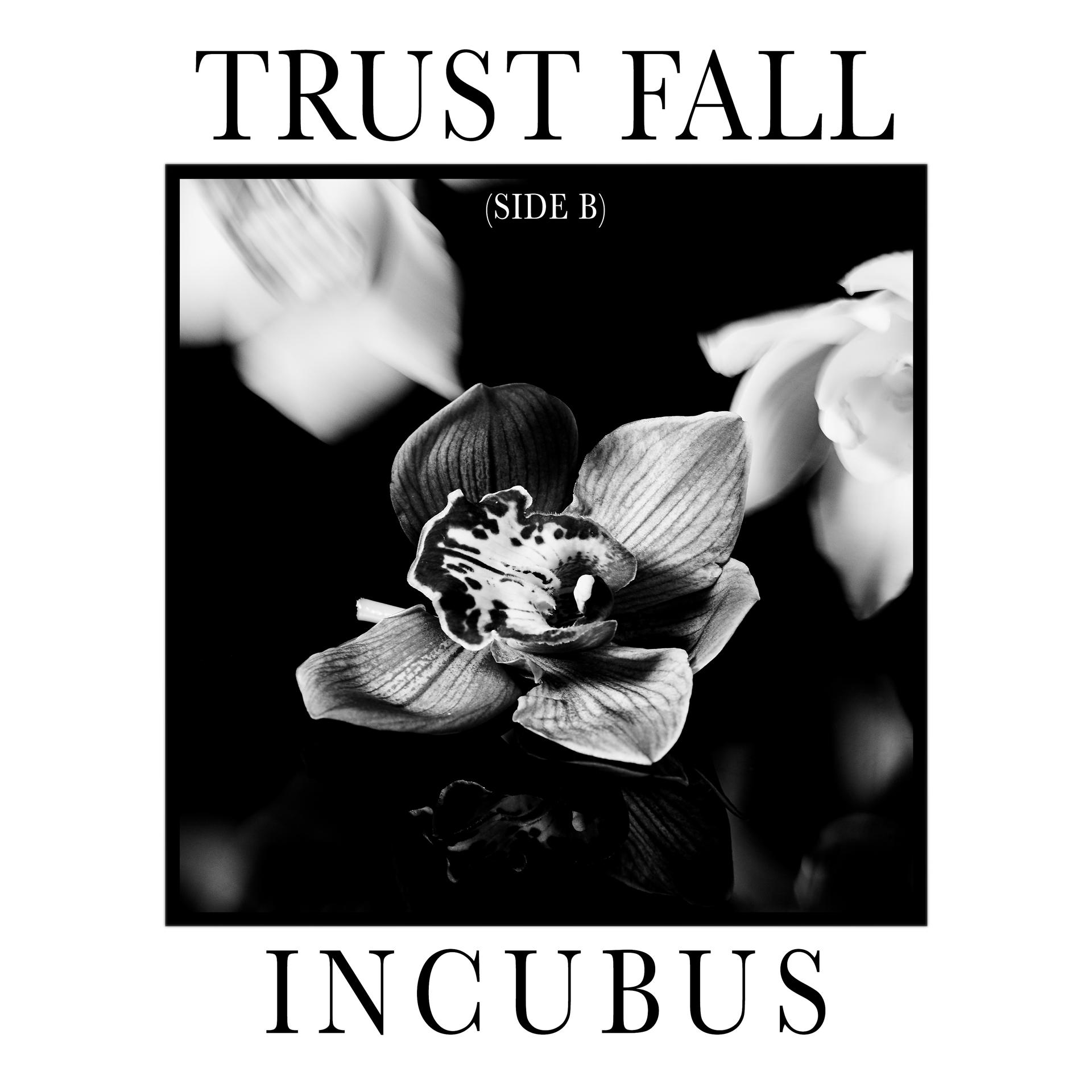 Постер альбома Trust Fall (Side B)