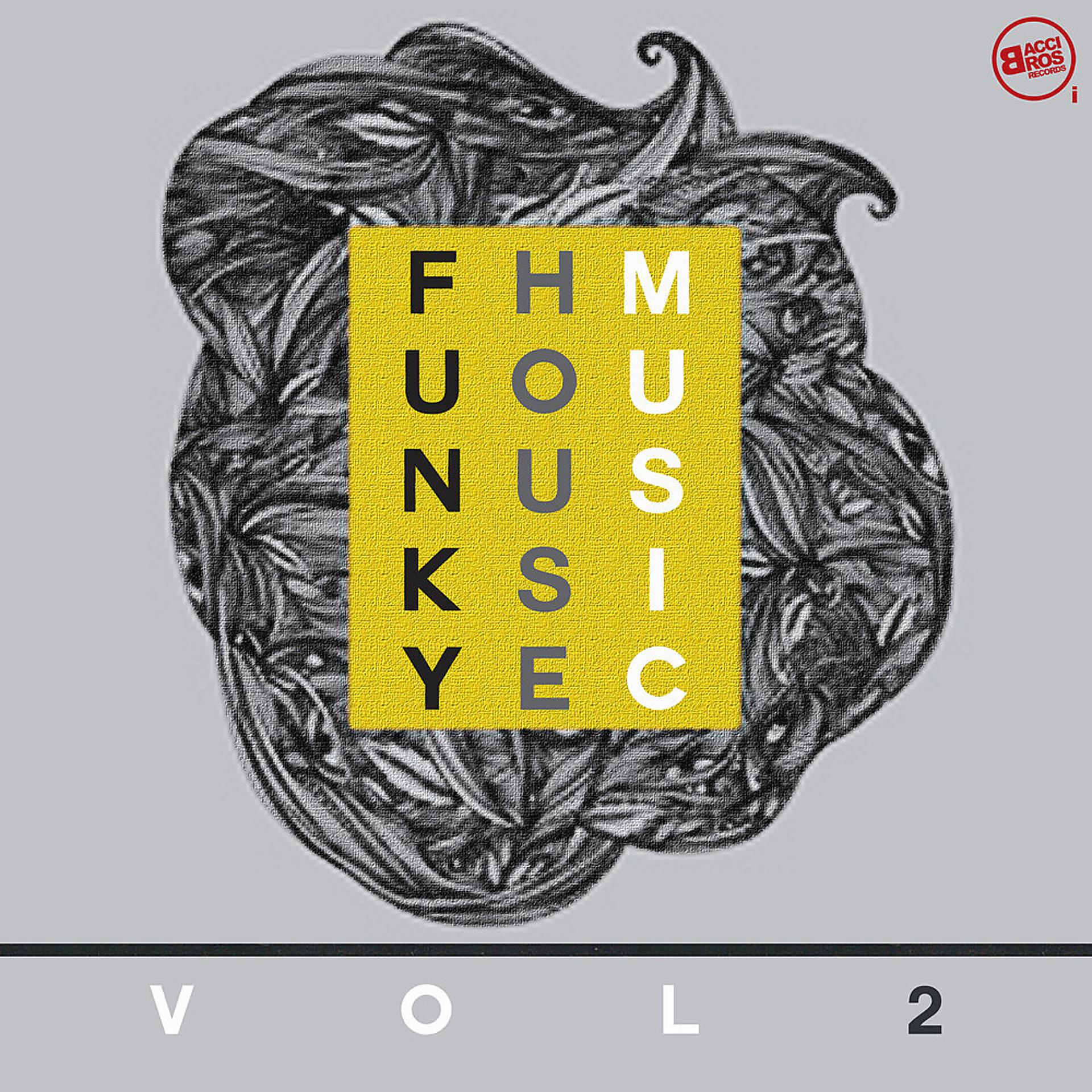 Постер альбома Funky House Music, Vol. 2