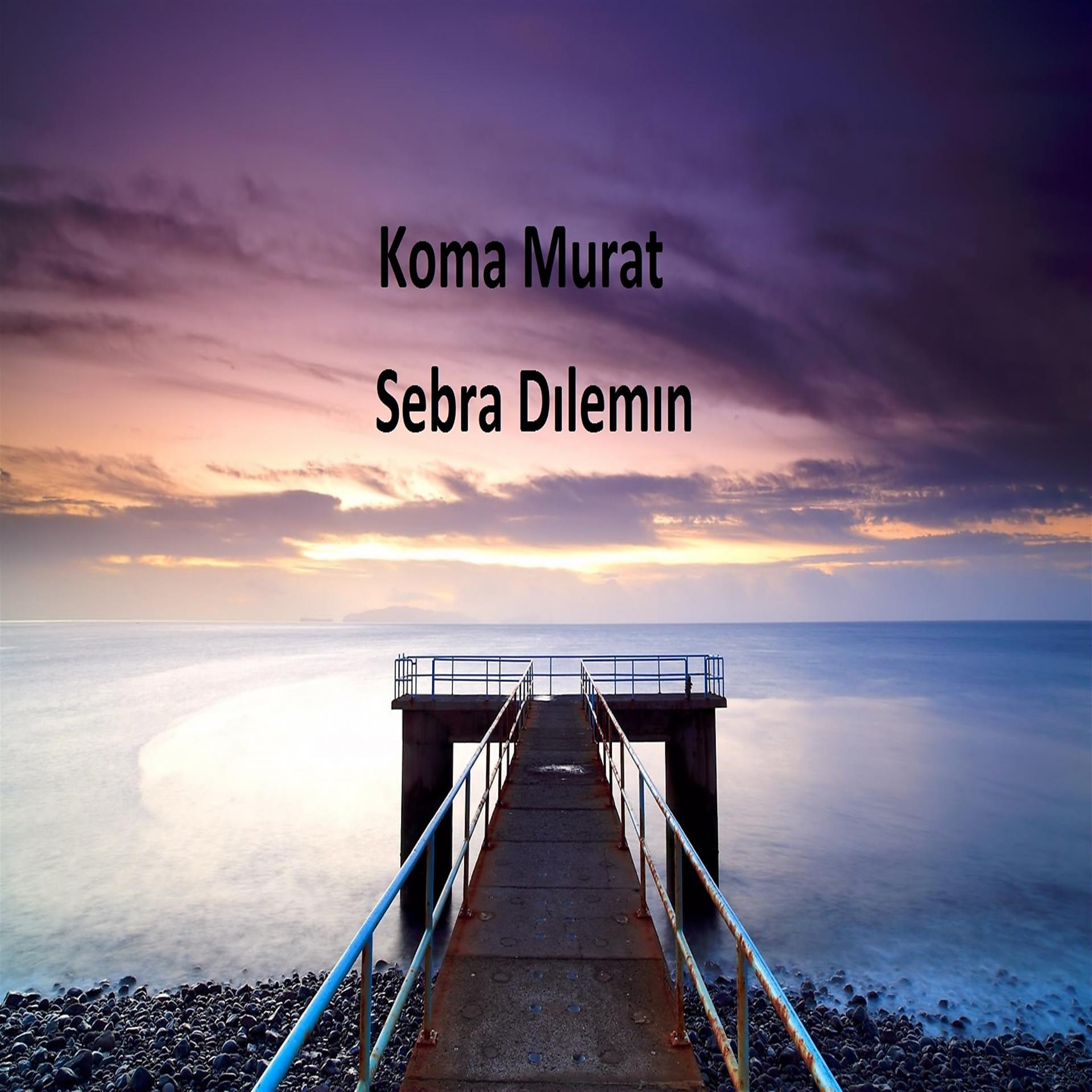 Постер альбома Sebra Dılemın