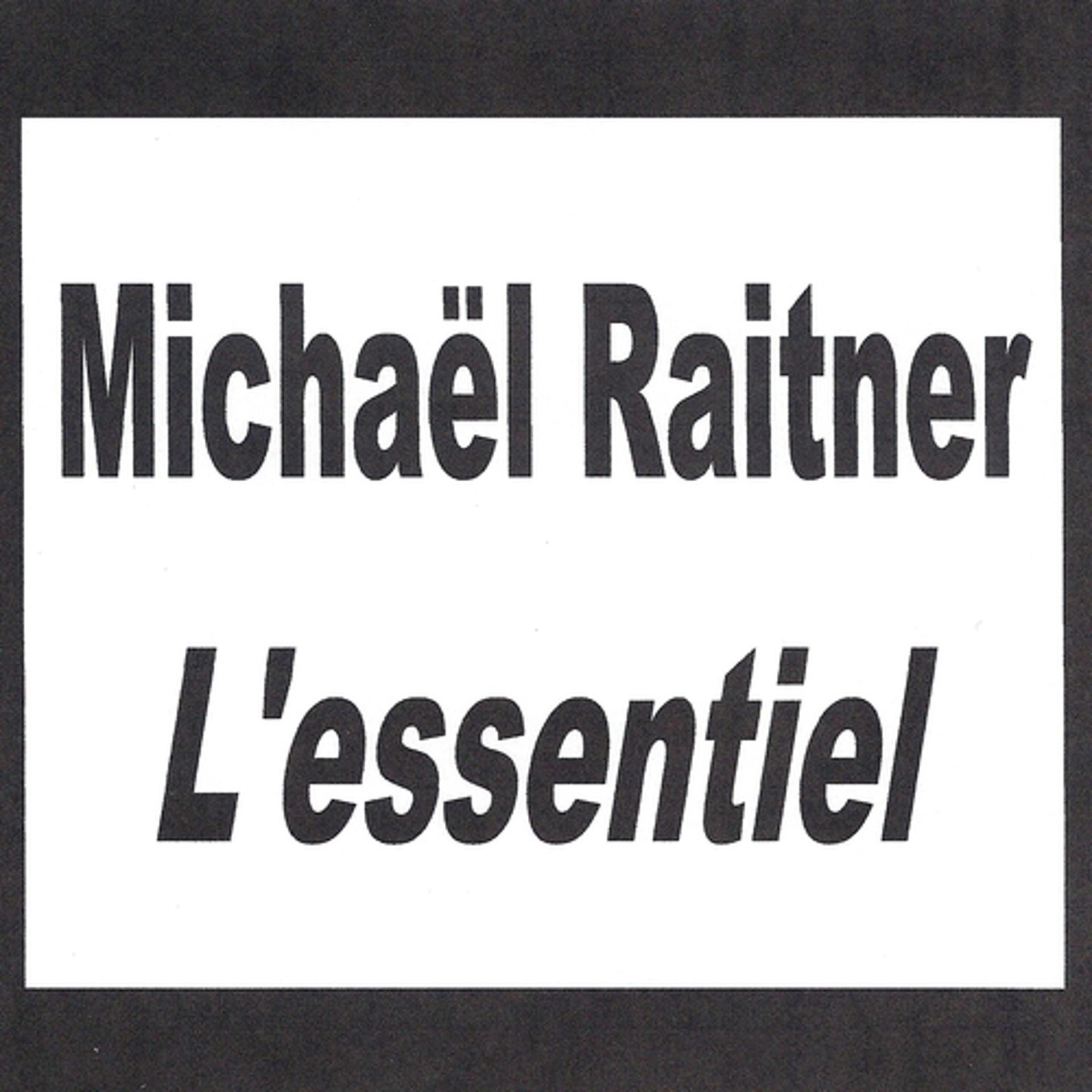 Постер альбома Michaël Raitner - L'essentiel