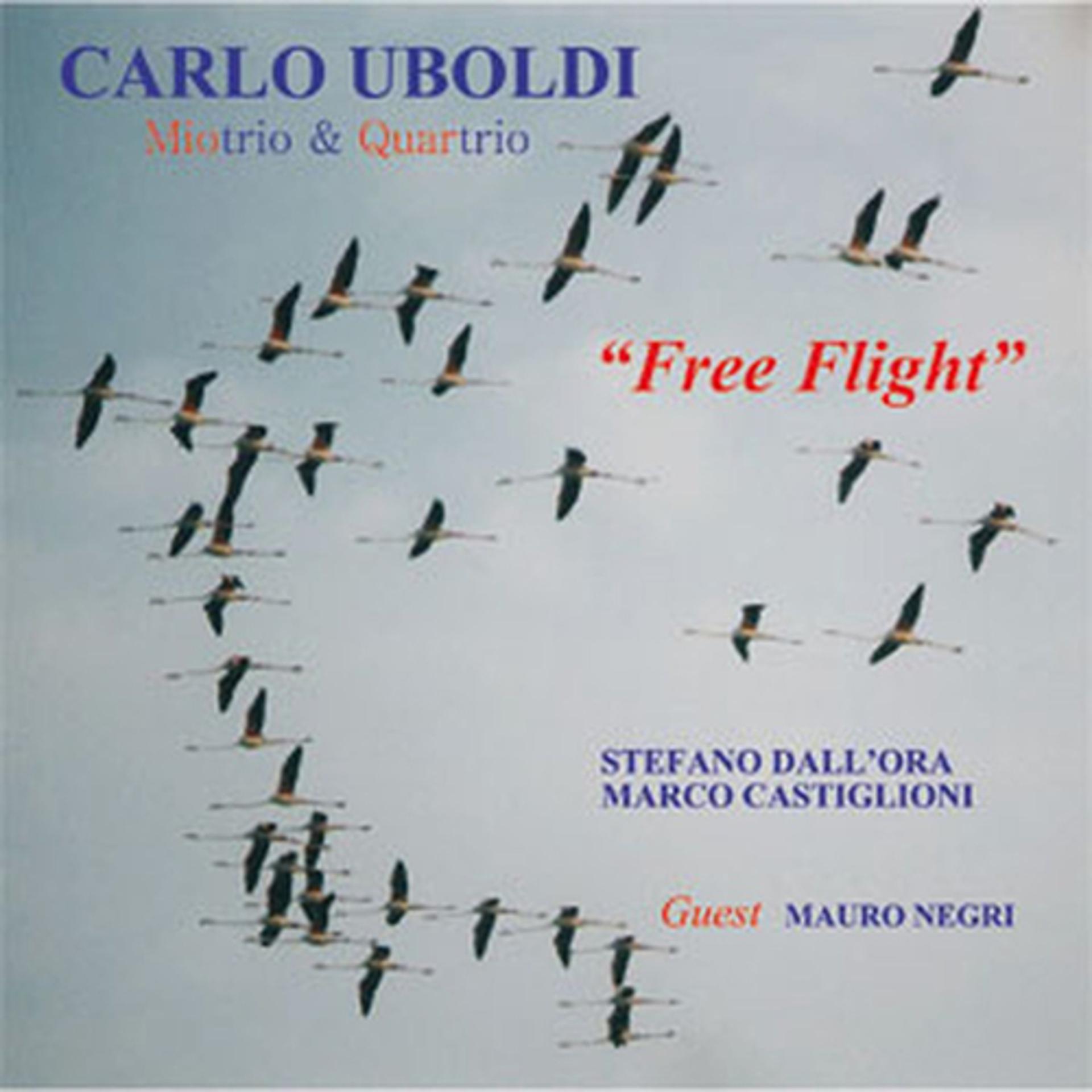 Постер альбома Free Flight