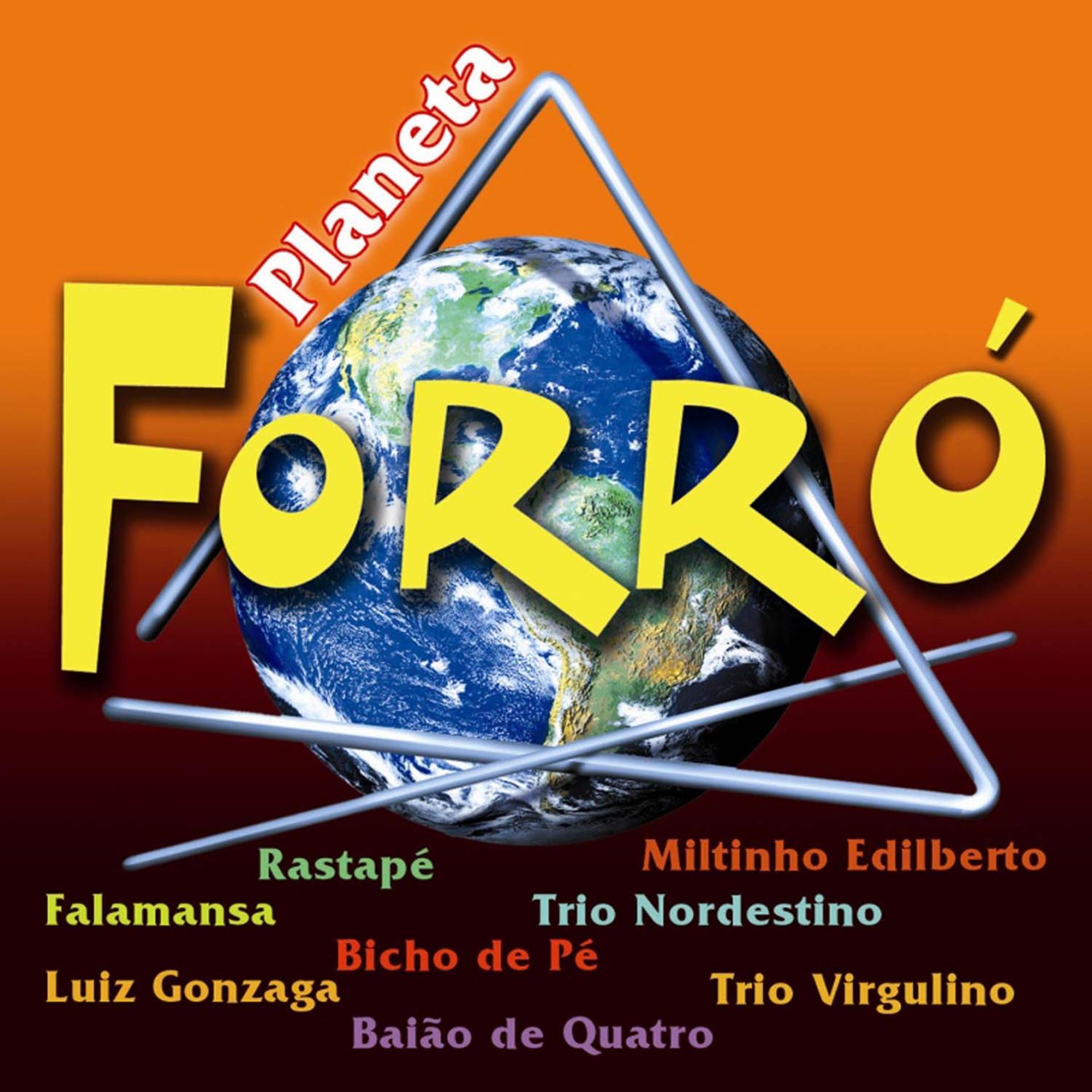 Постер альбома Planeta Forró