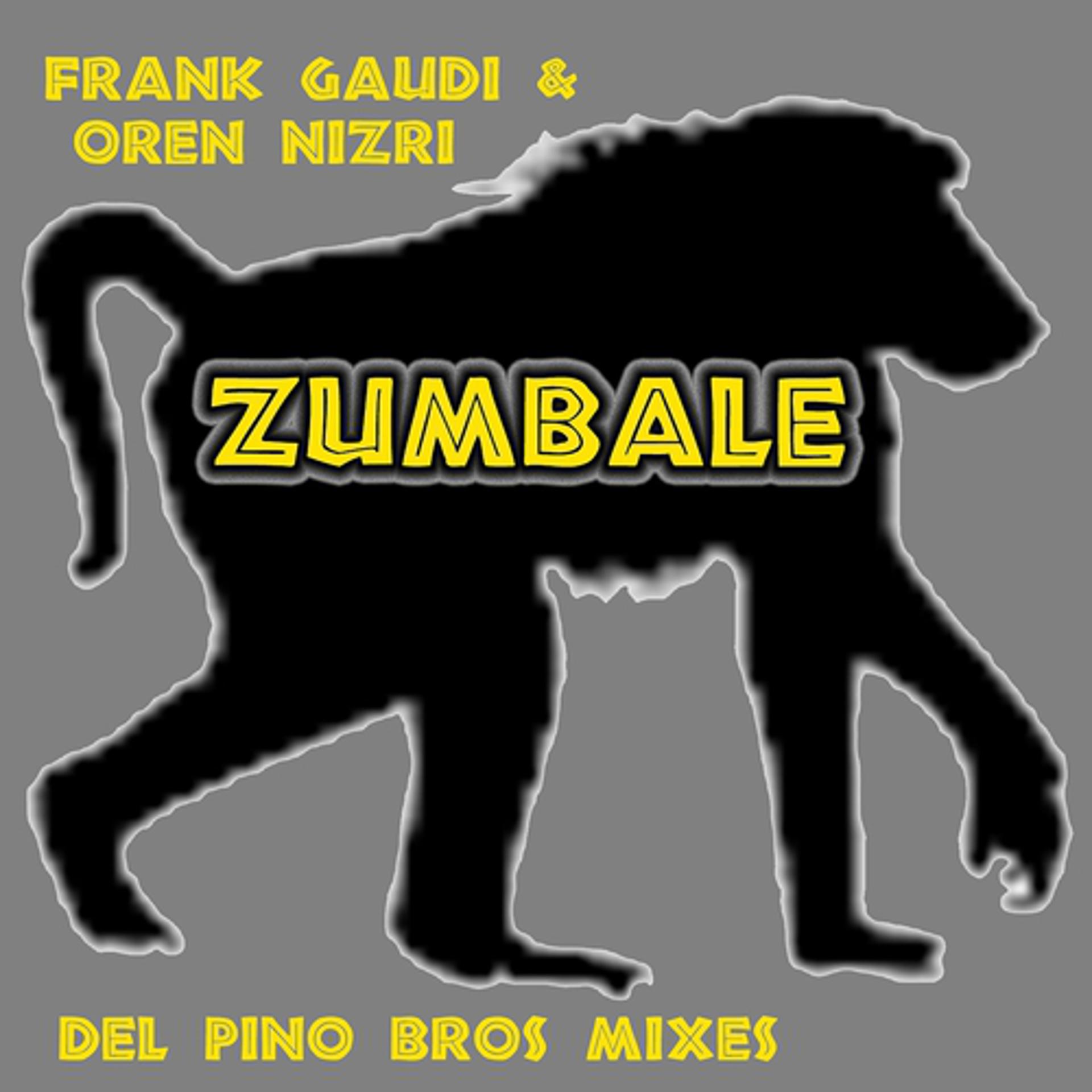 Постер альбома Zumbale