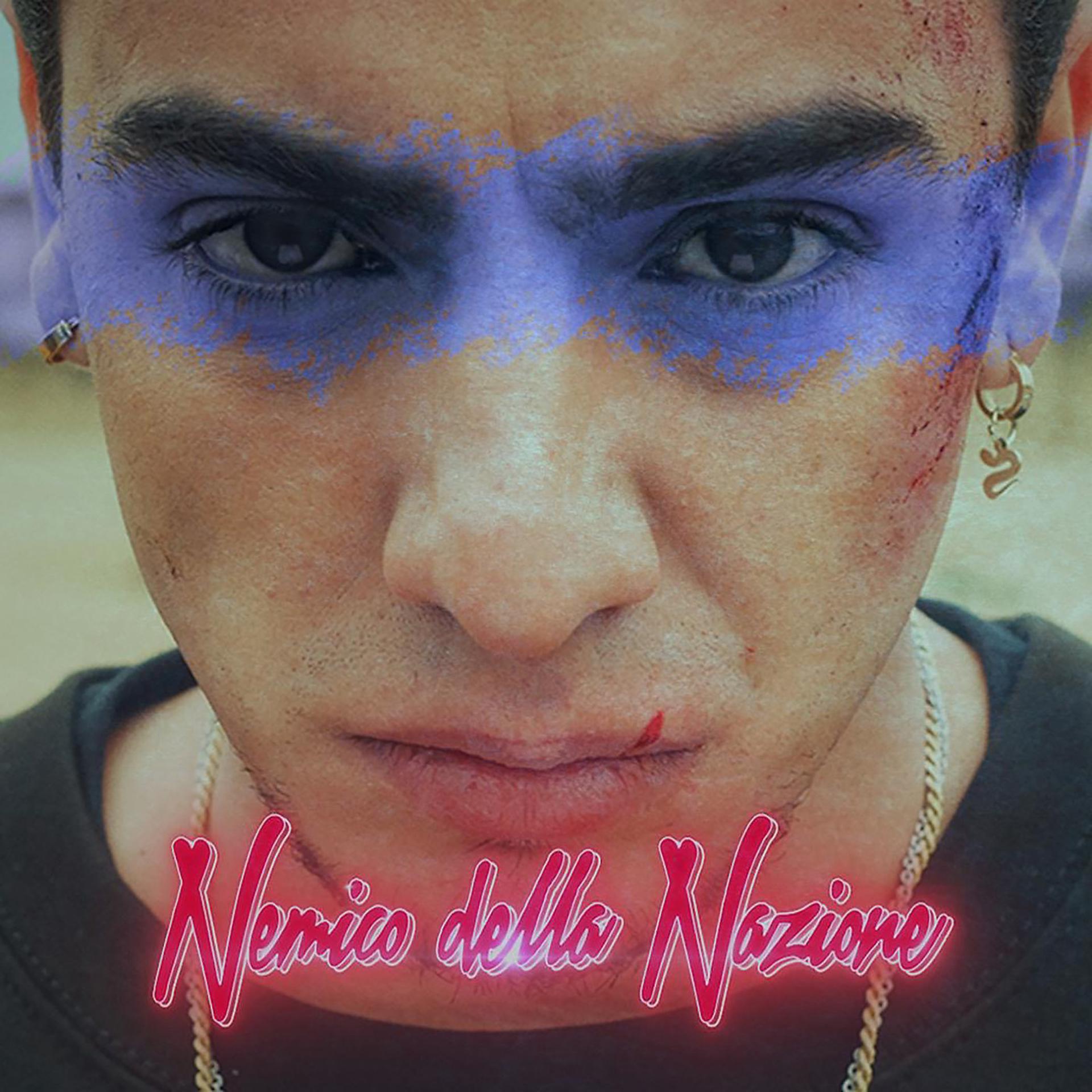 Постер альбома Nemico della Nazione