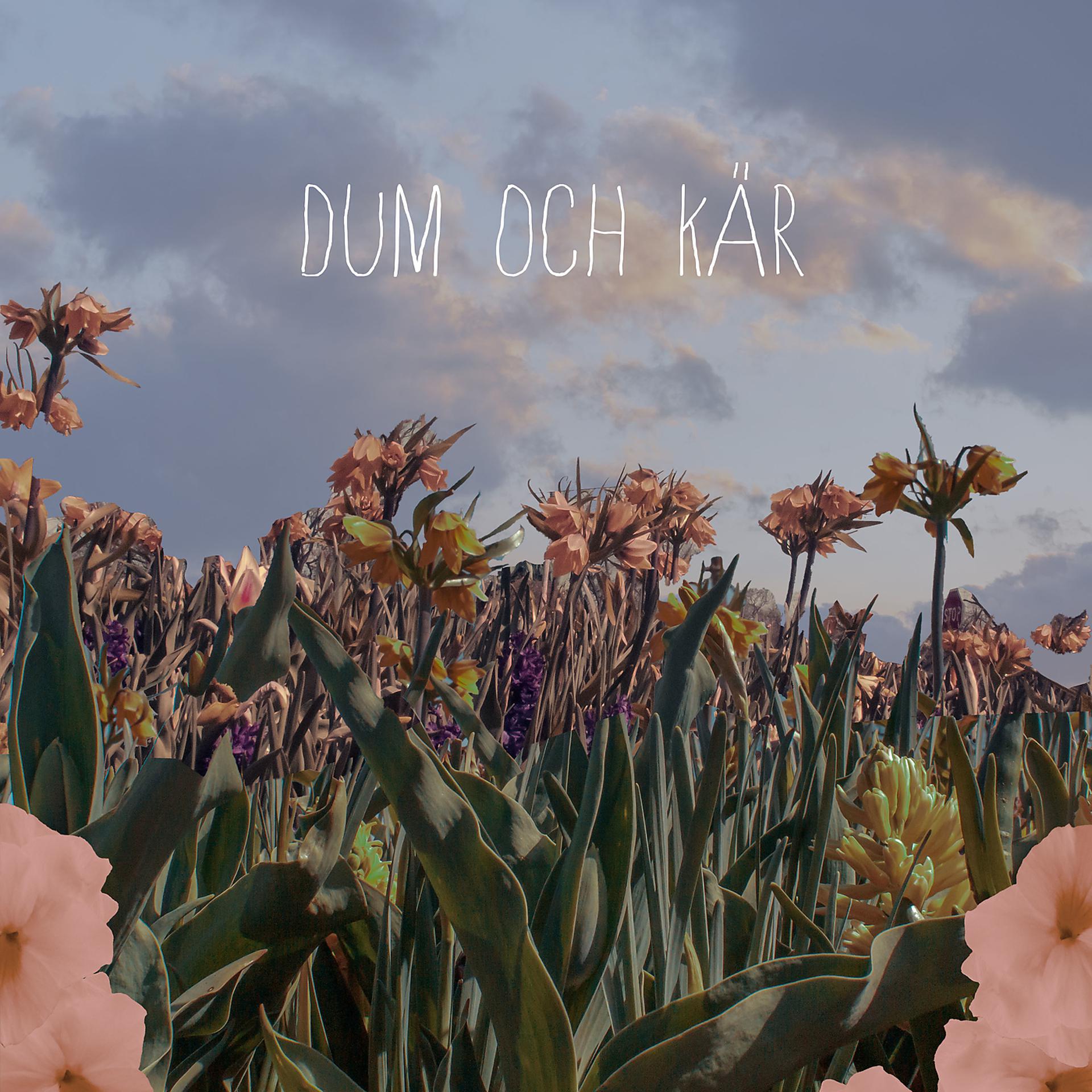 Постер альбома Dum och kär