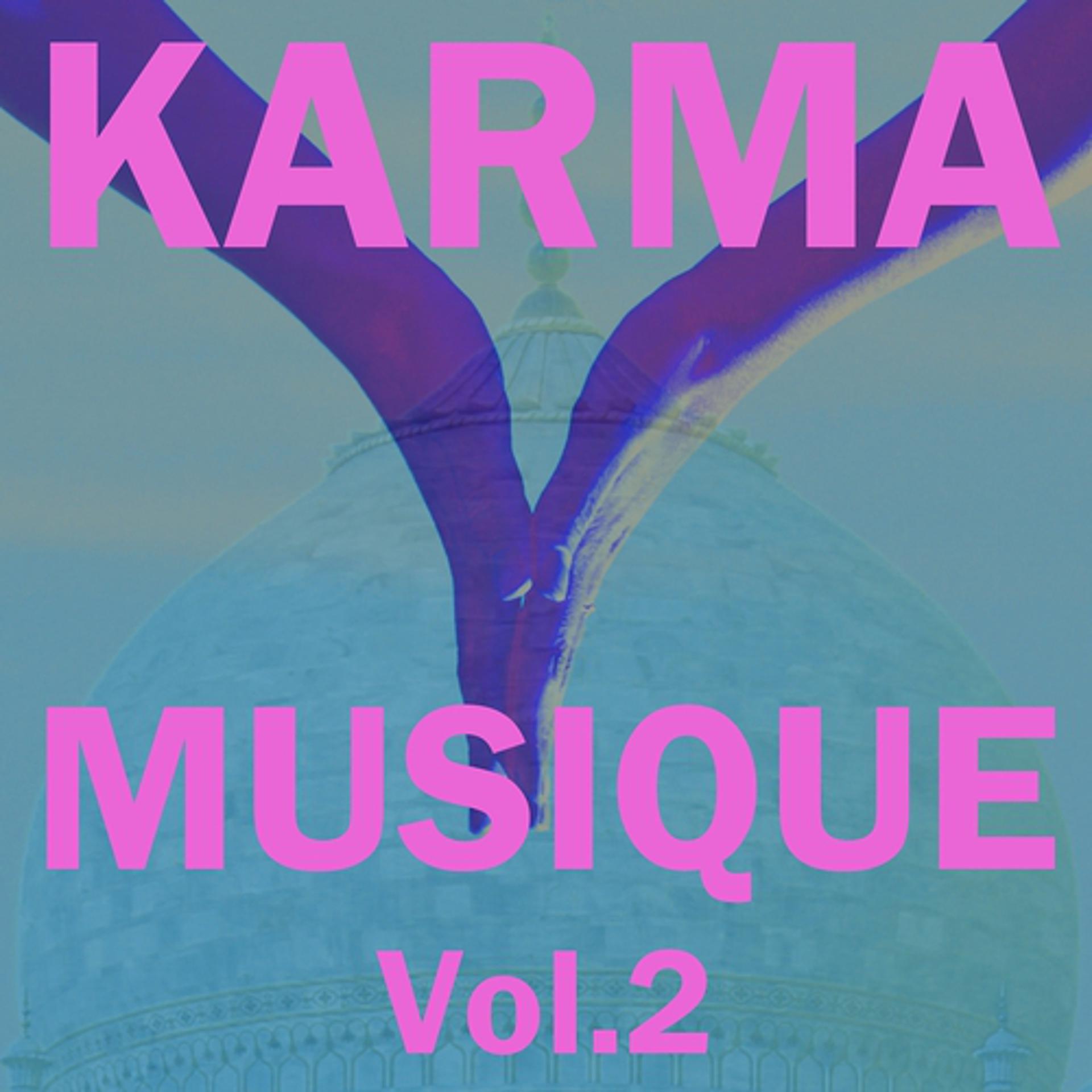 Постер альбома Karma Musique, vol. 2