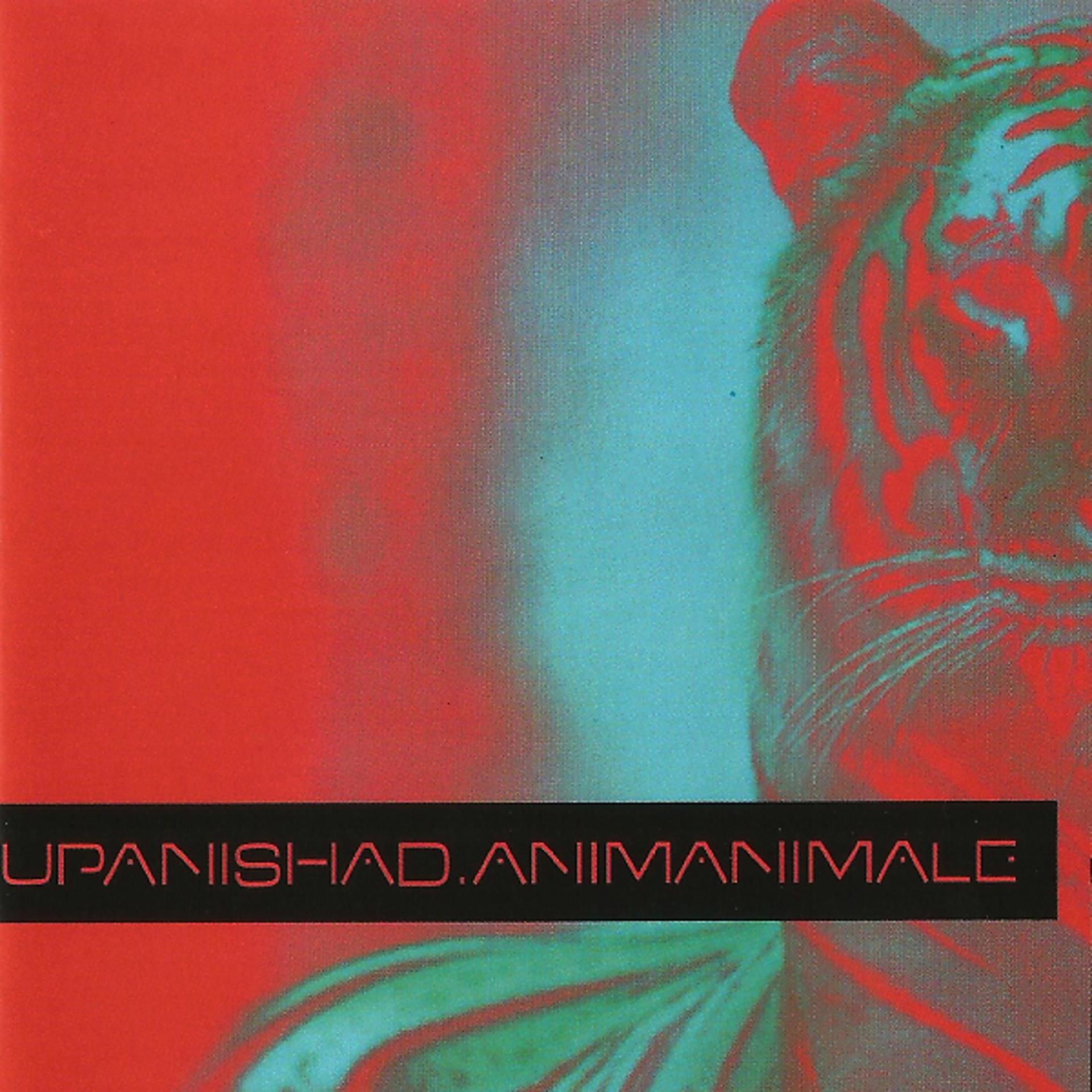 Постер альбома Animanimale