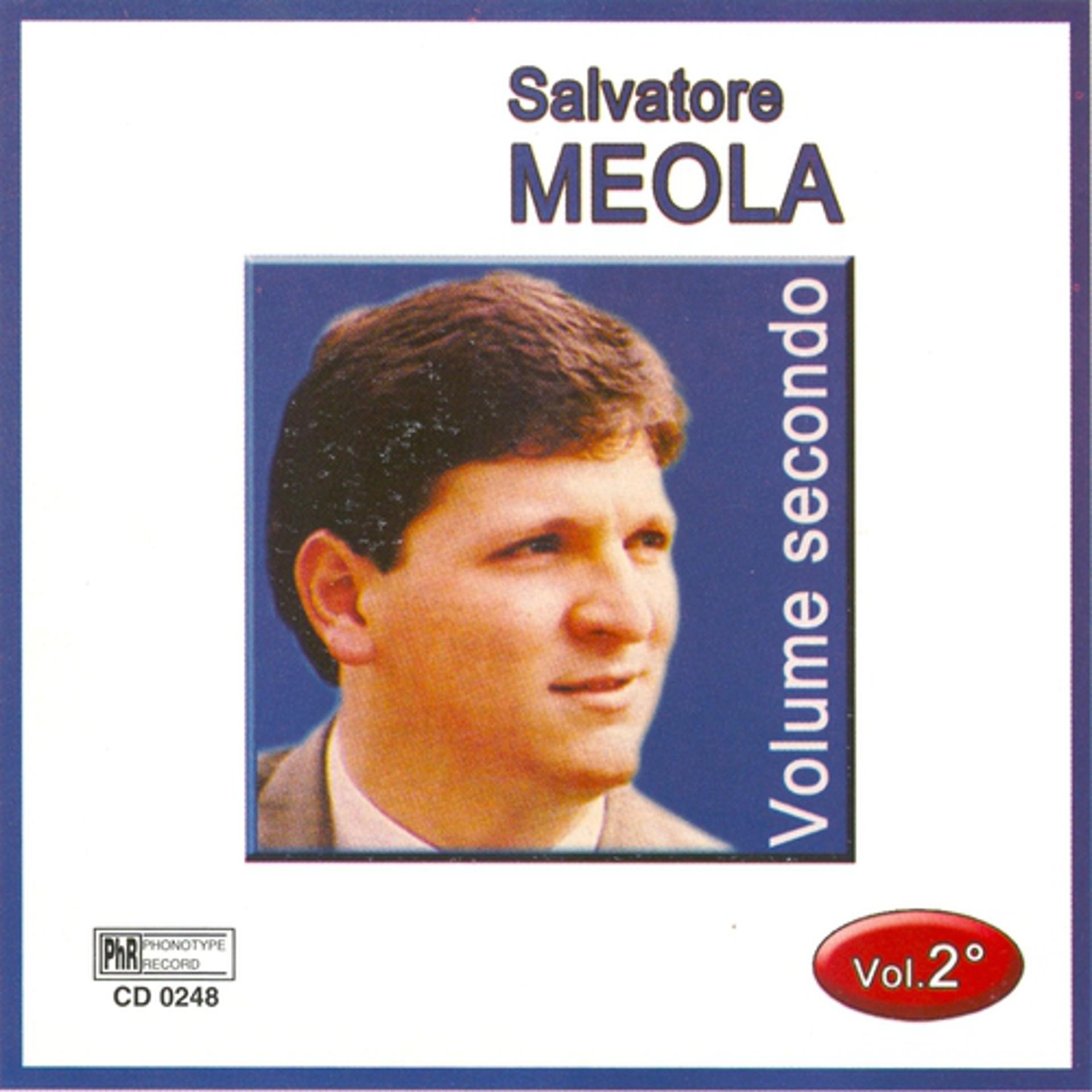 Постер альбома Salvatore Meola, vol. 2