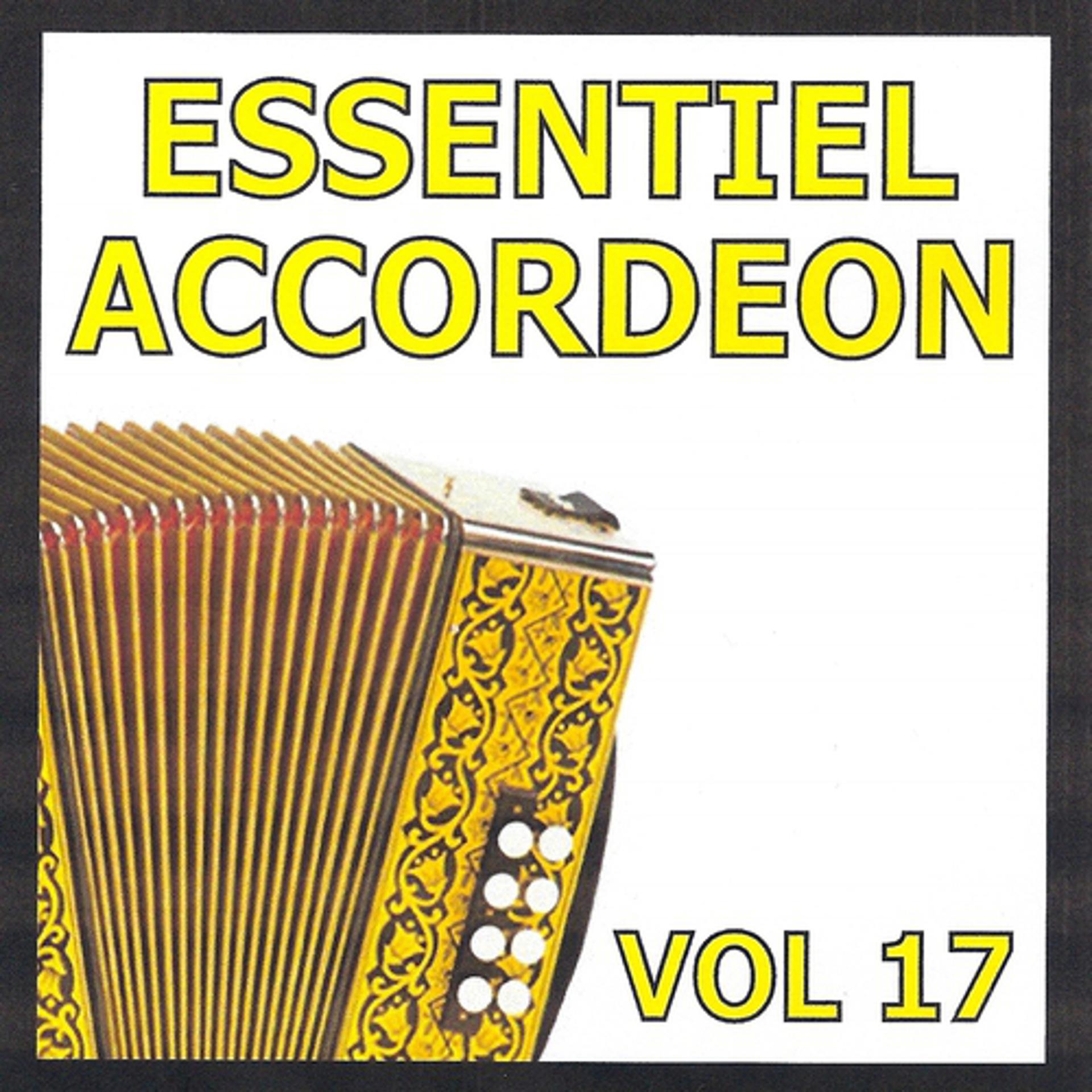 Постер альбома Essentiel Accordéon, vol. 17
