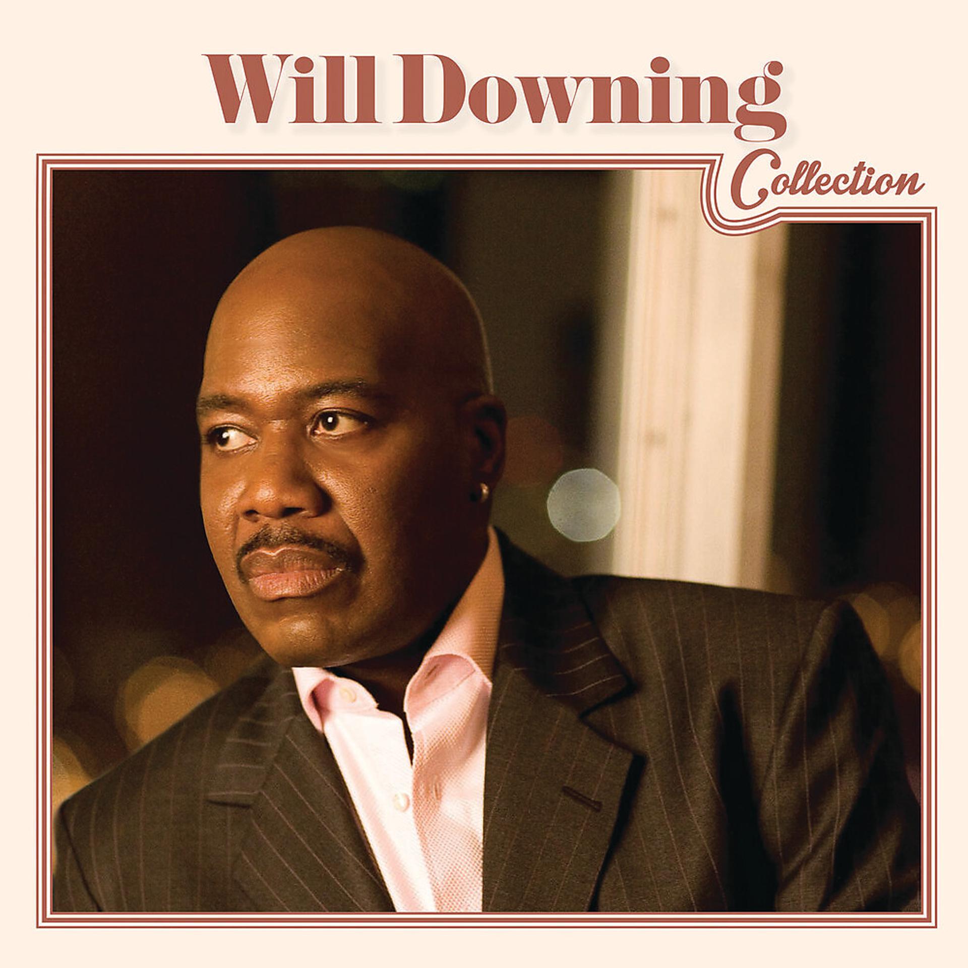 Постер альбома Will Downing Collection