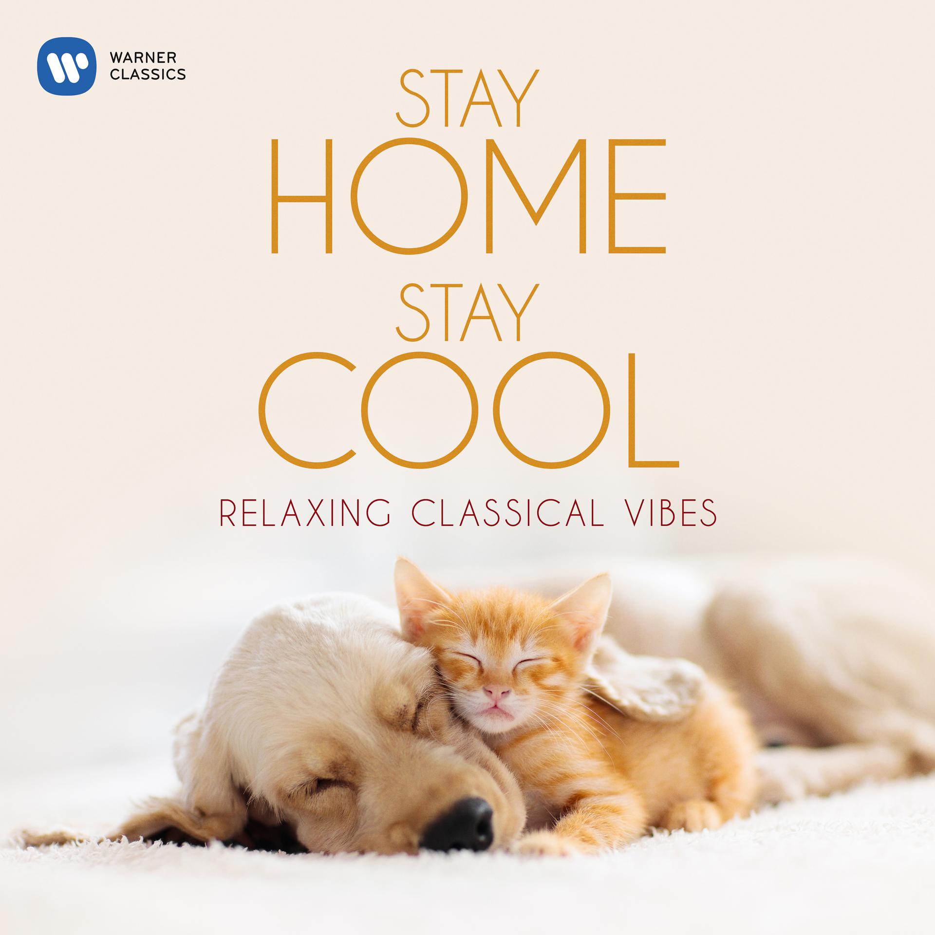 Постер альбома Stay Home, Stay Cool: Relaxing Classical Vibes