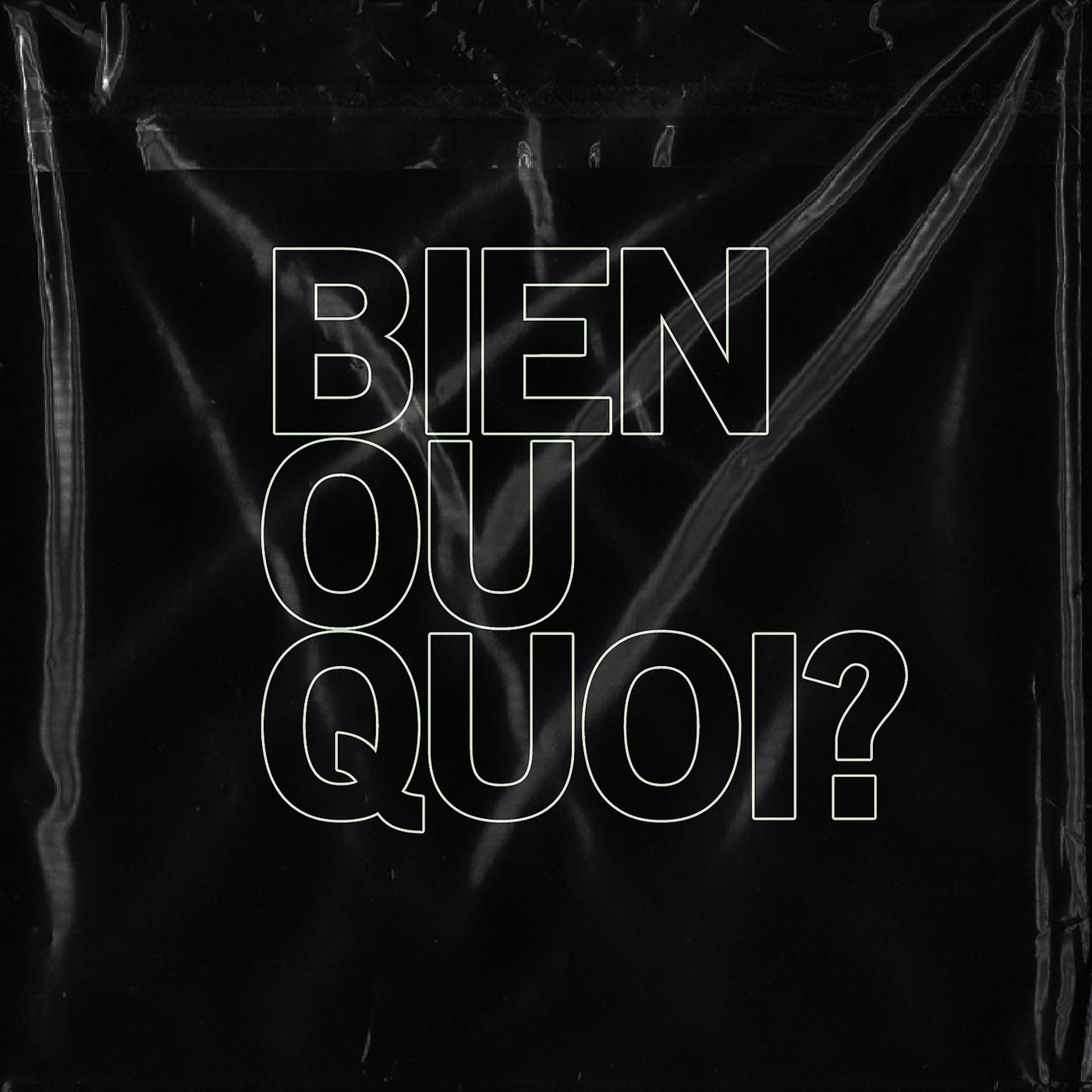 Постер альбома Bien ou quoi?