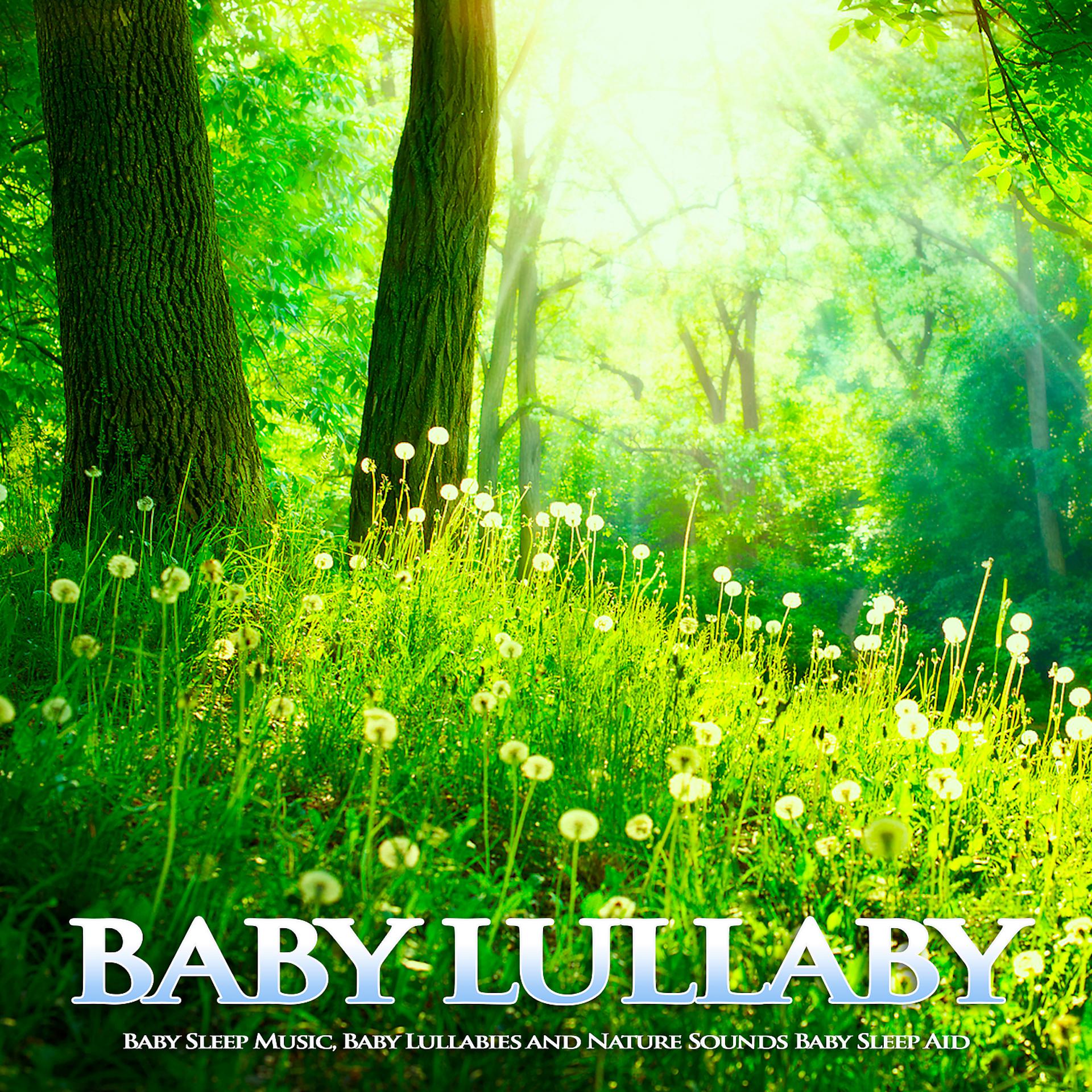 Постер альбома Baby Lullaby: Baby Sleep Music, Baby Lullabies and Nature Sounds Baby Sleep Aid