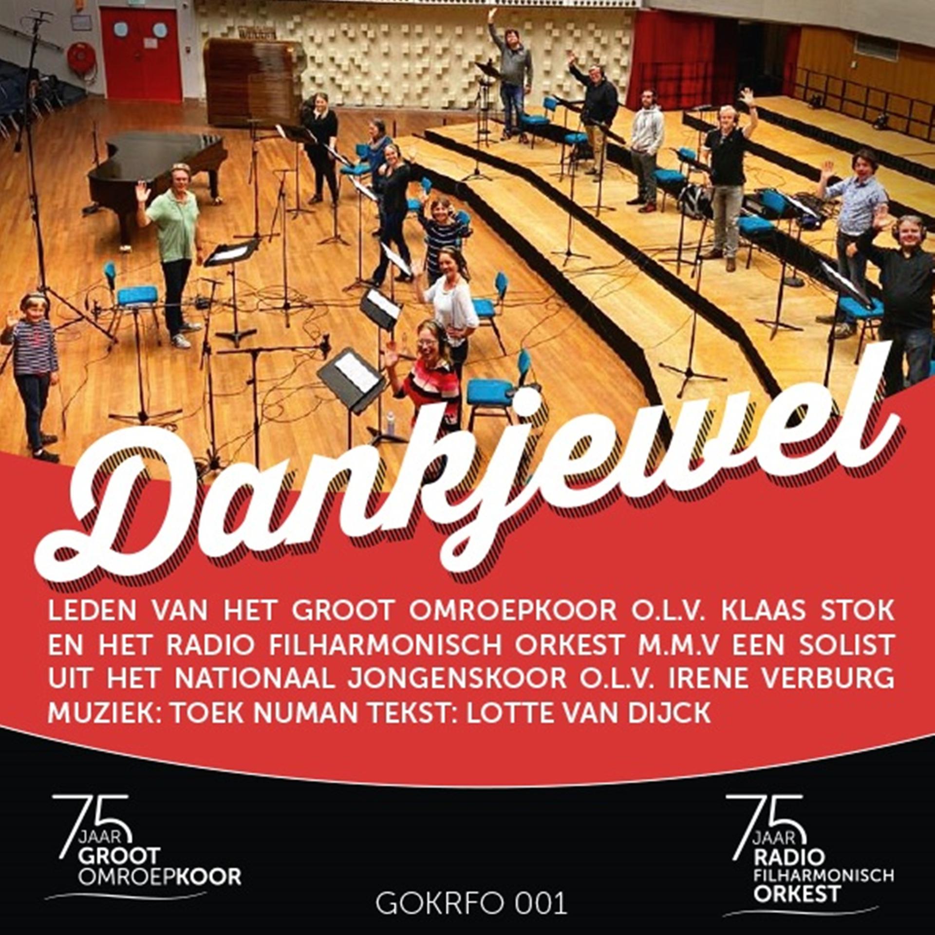 Постер альбома Dankjewel