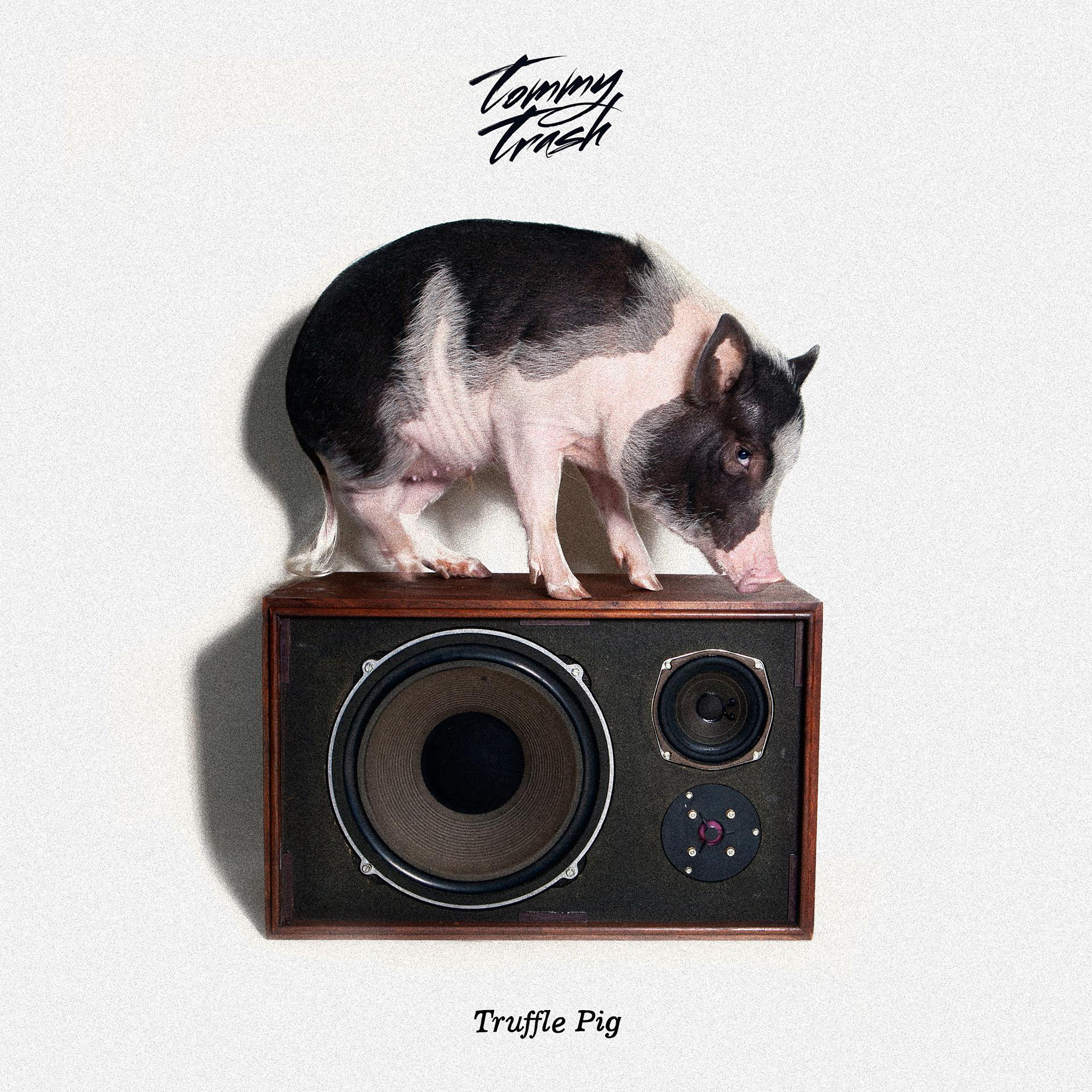 Постер альбома Truffle Pig