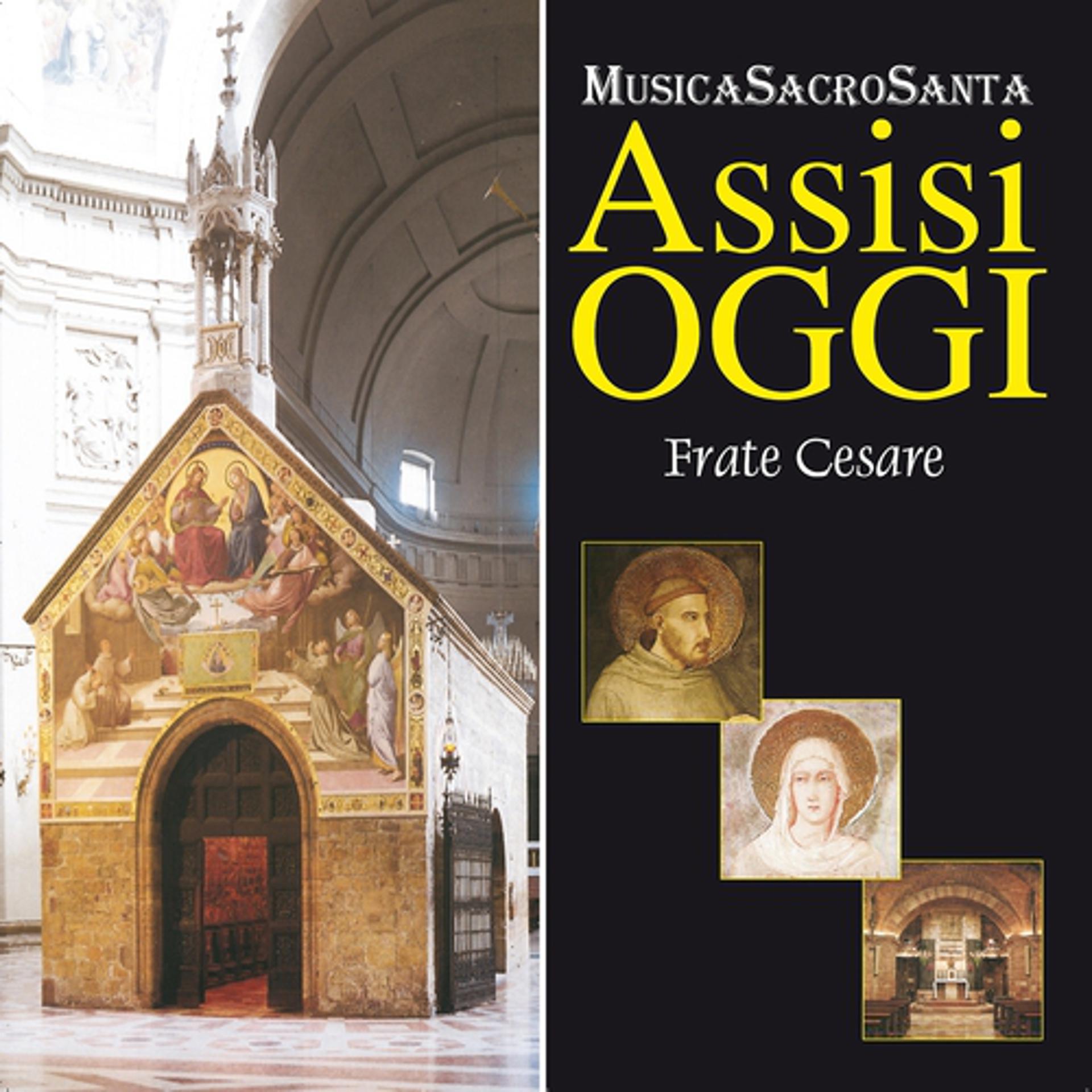 Постер альбома Assisi oggi