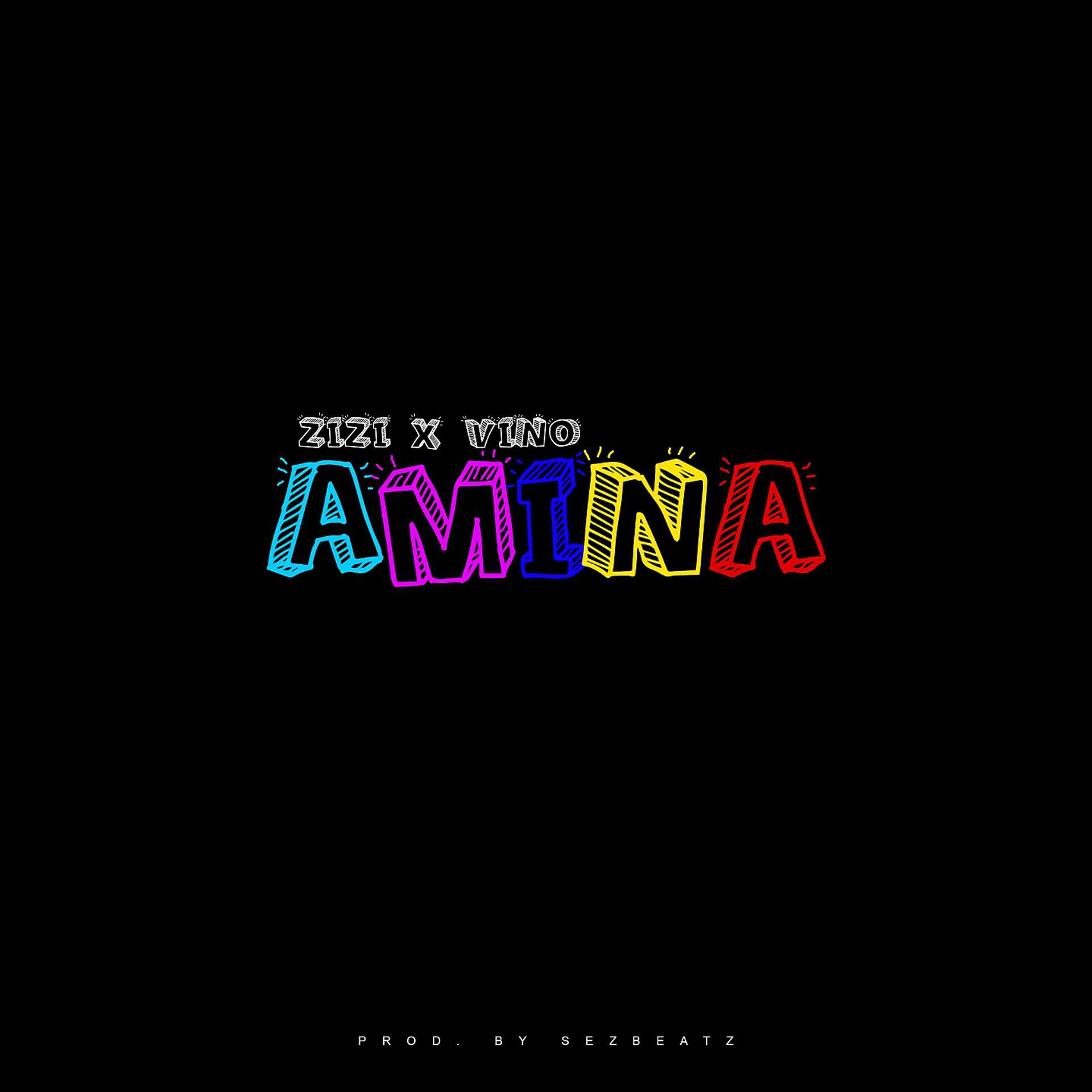 Постер альбома AMINA