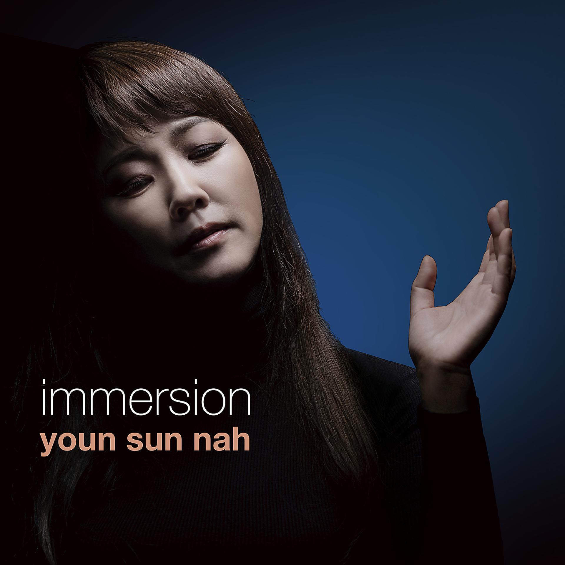 Постер альбома Immersion