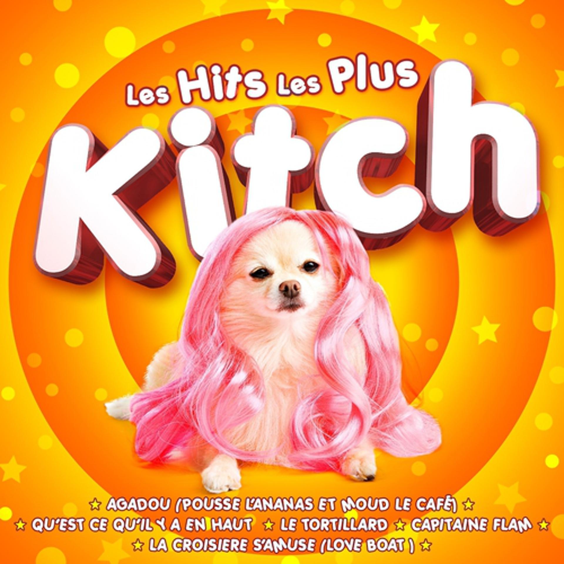 Постер альбома Les Hits les plus Kitch