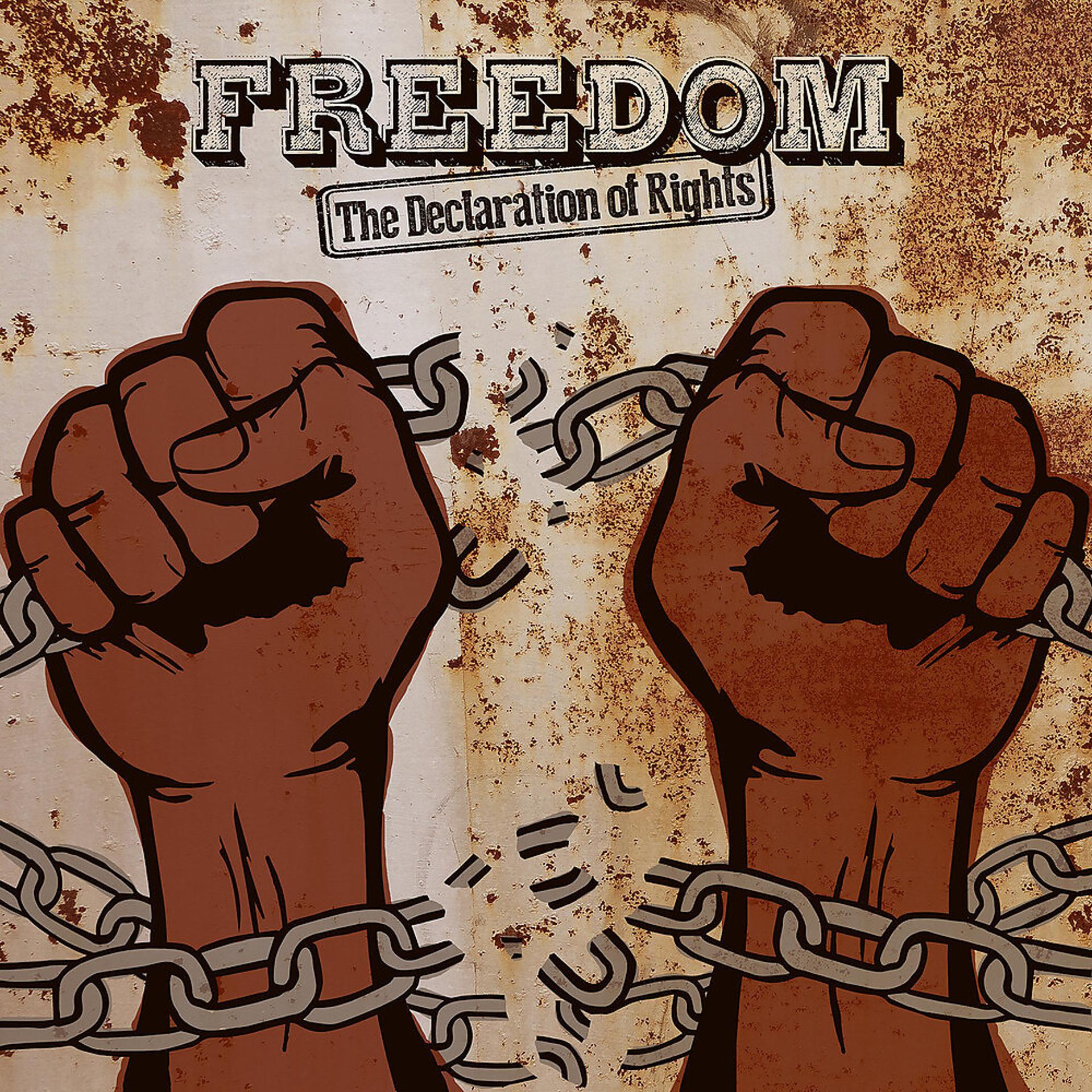 Постер альбома Freedom (The Declaration of Rights)