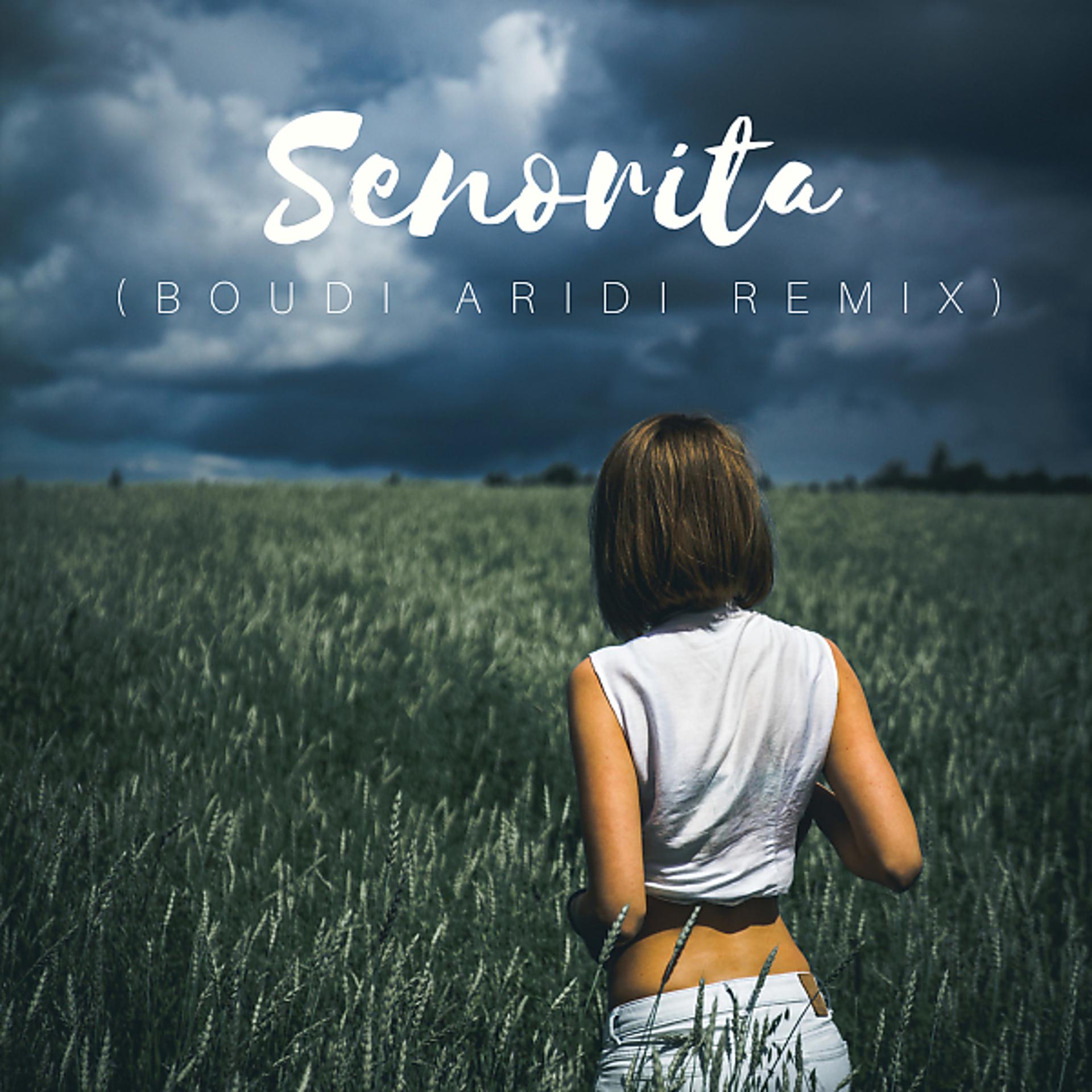 Постер альбома Senorita (Boudi Aridi Cover Remix)