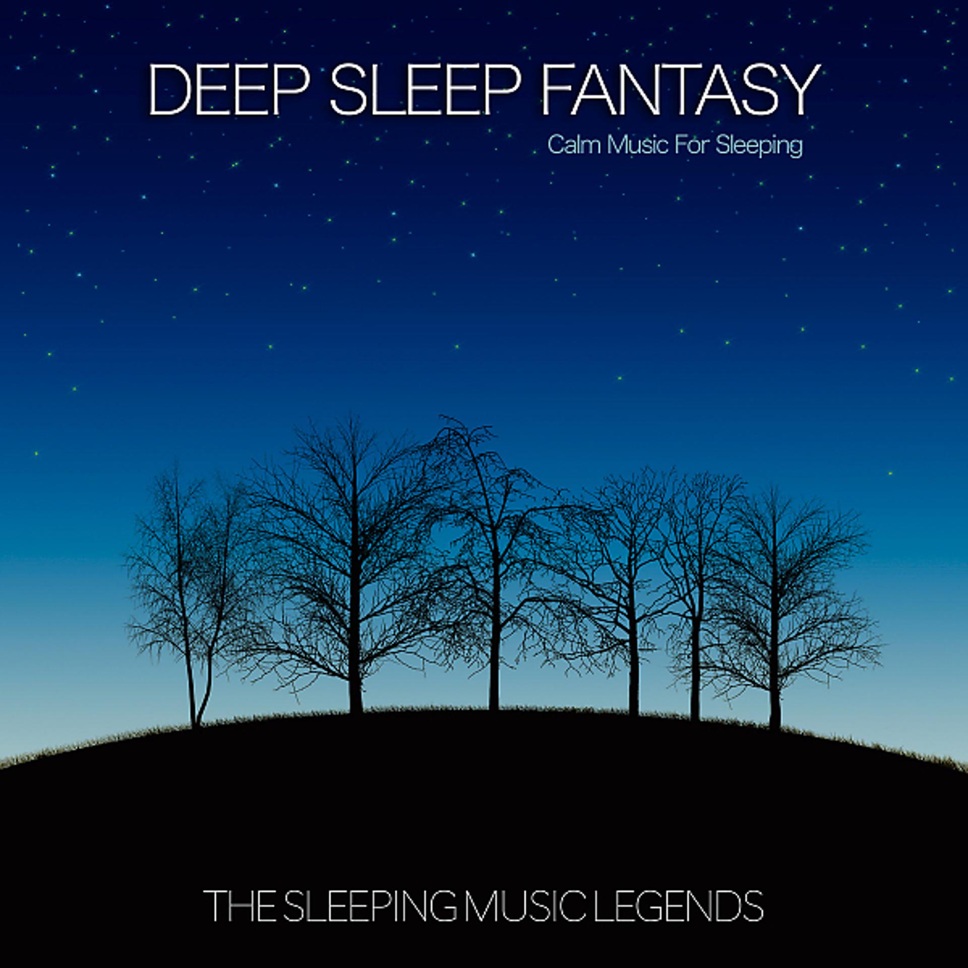 Постер альбома A Deep Sleep Fantasy